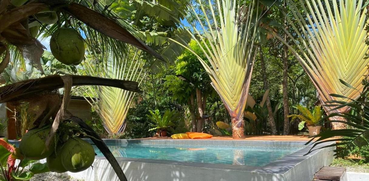 Bohol Island Homestay
