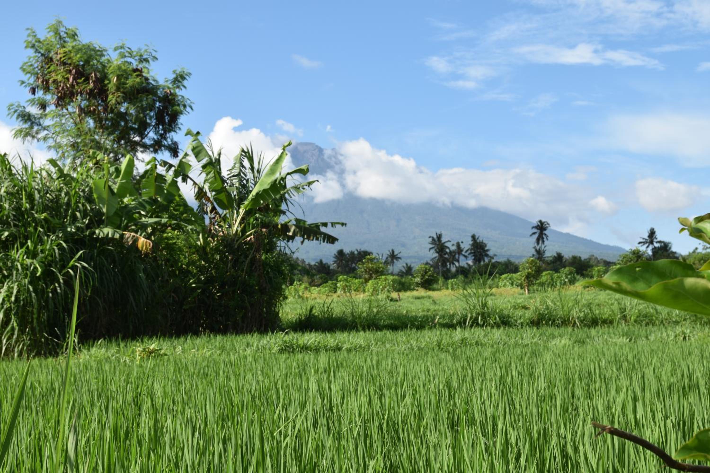 Graha Ayoe