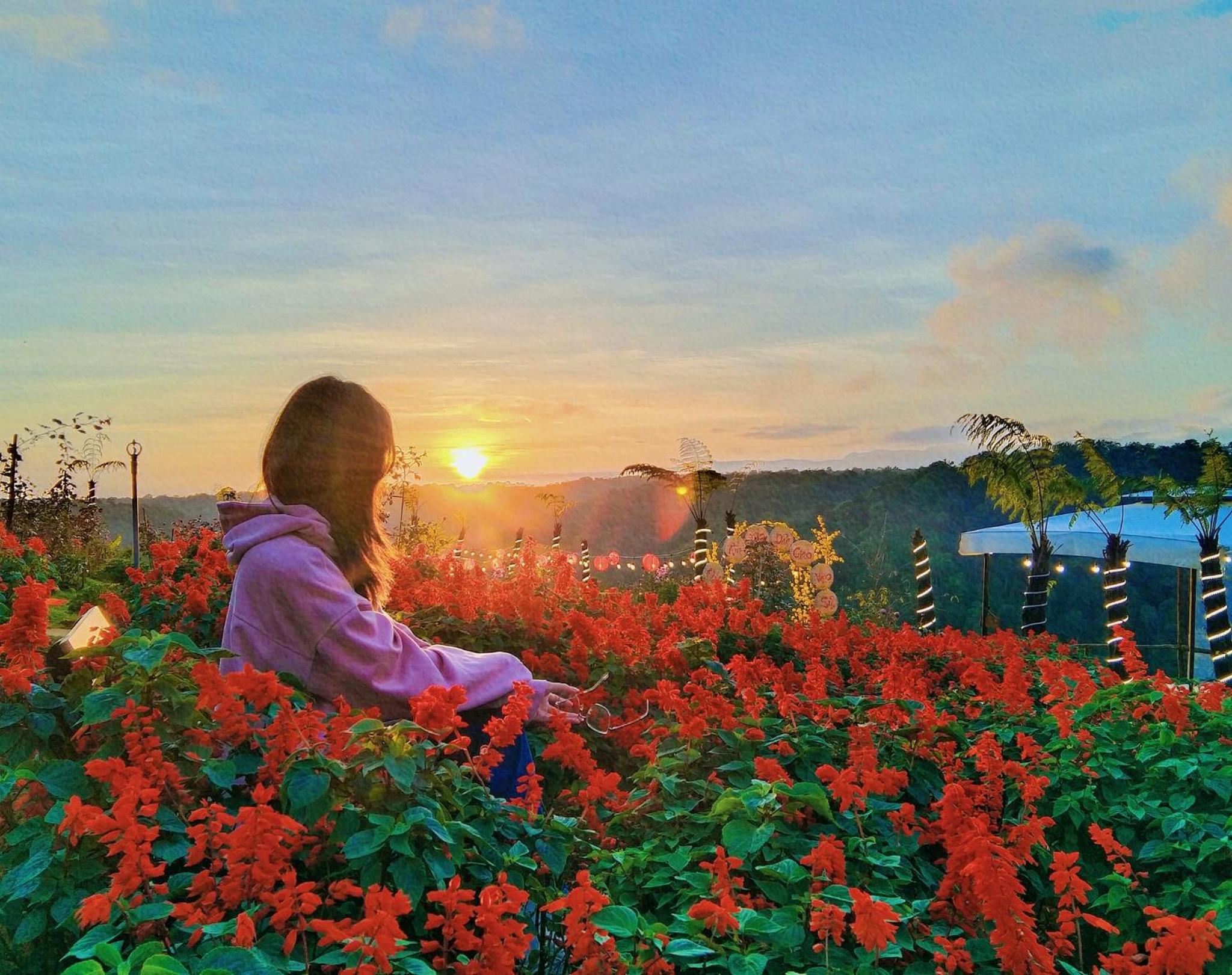 GLAMPING - Việt Úc Flower Garden view 2