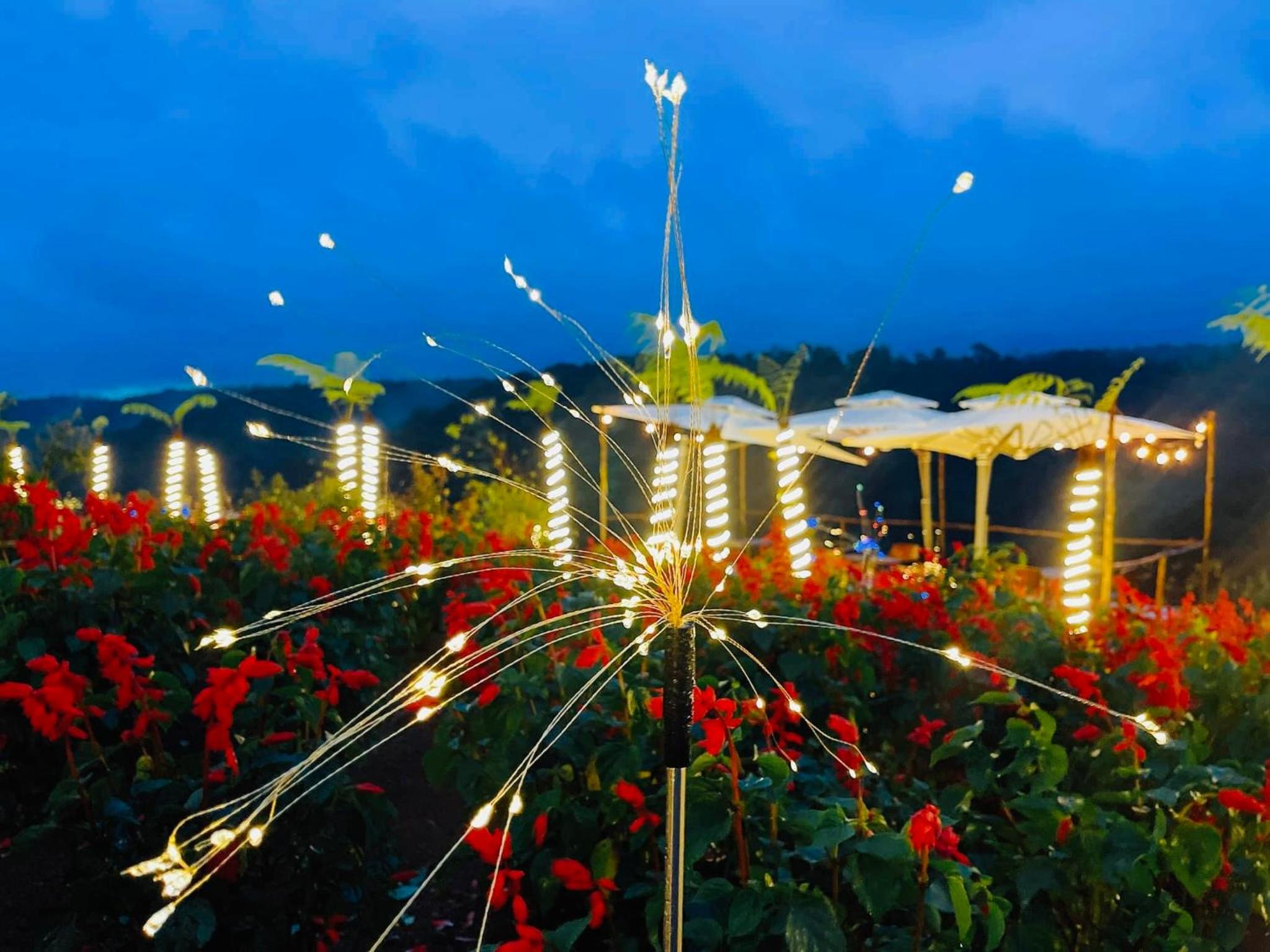 GLAMPING - Việt Úc Flower Garden view 5