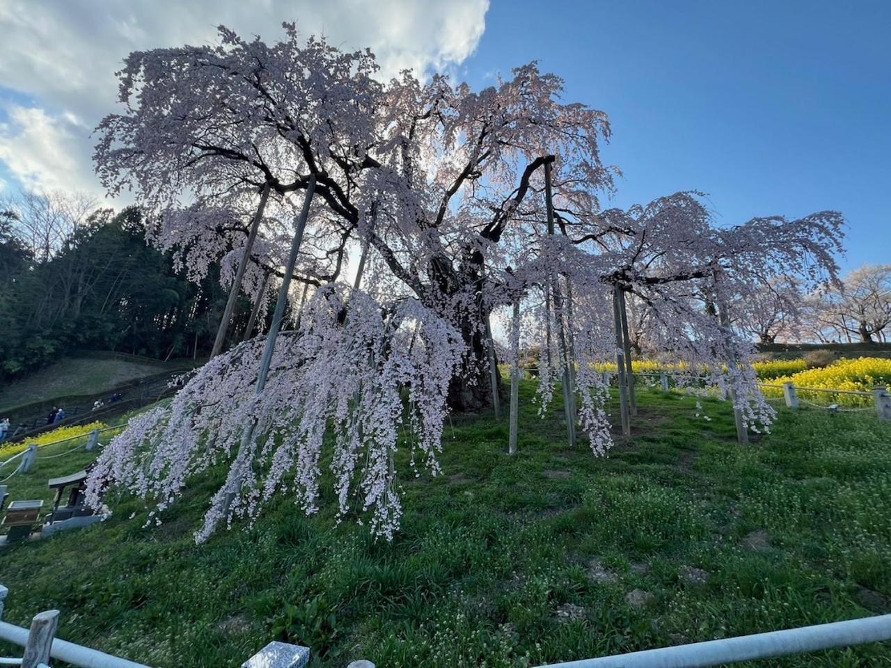 Guest House Koriyama