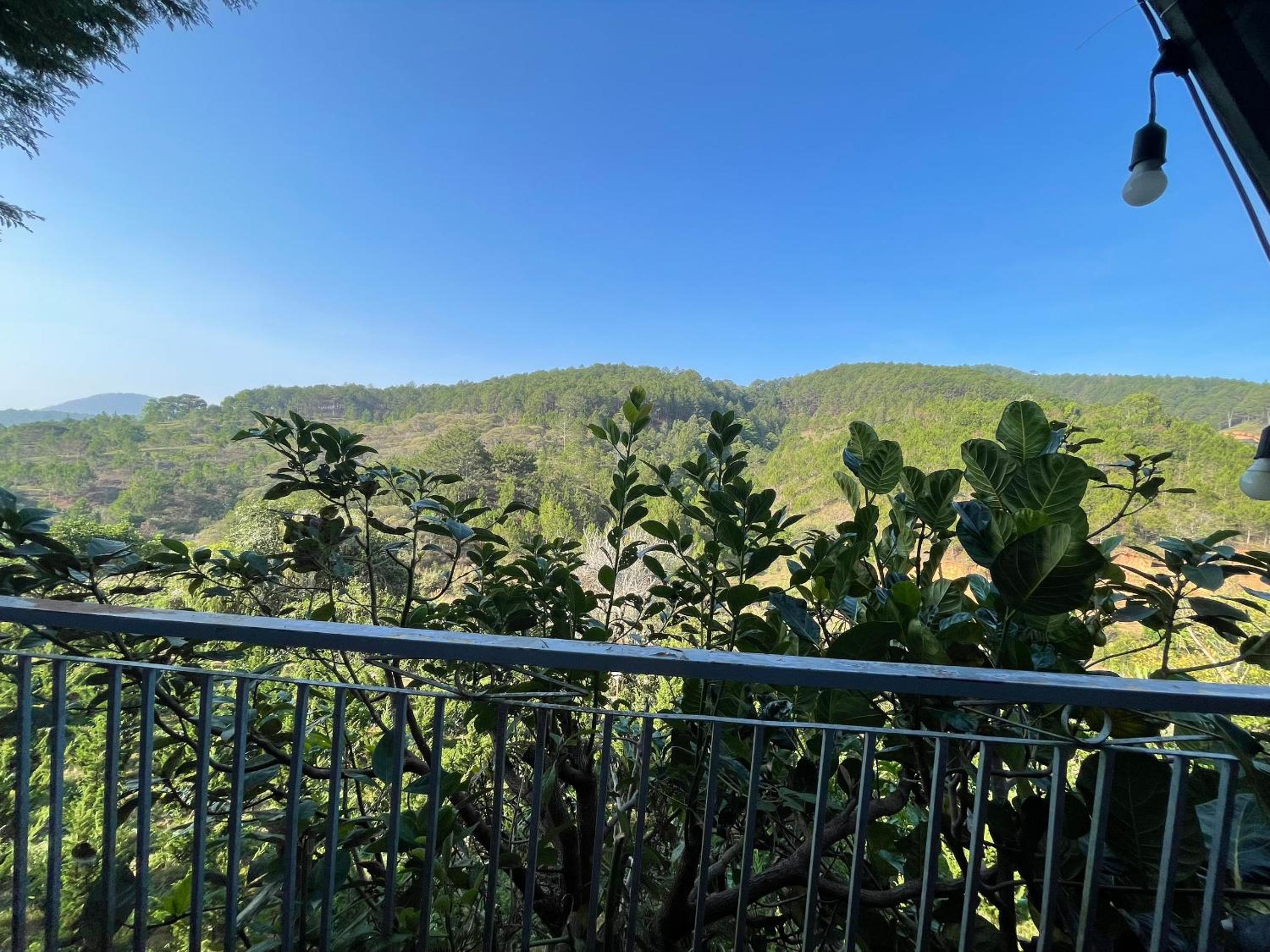 Tờ An Homestay