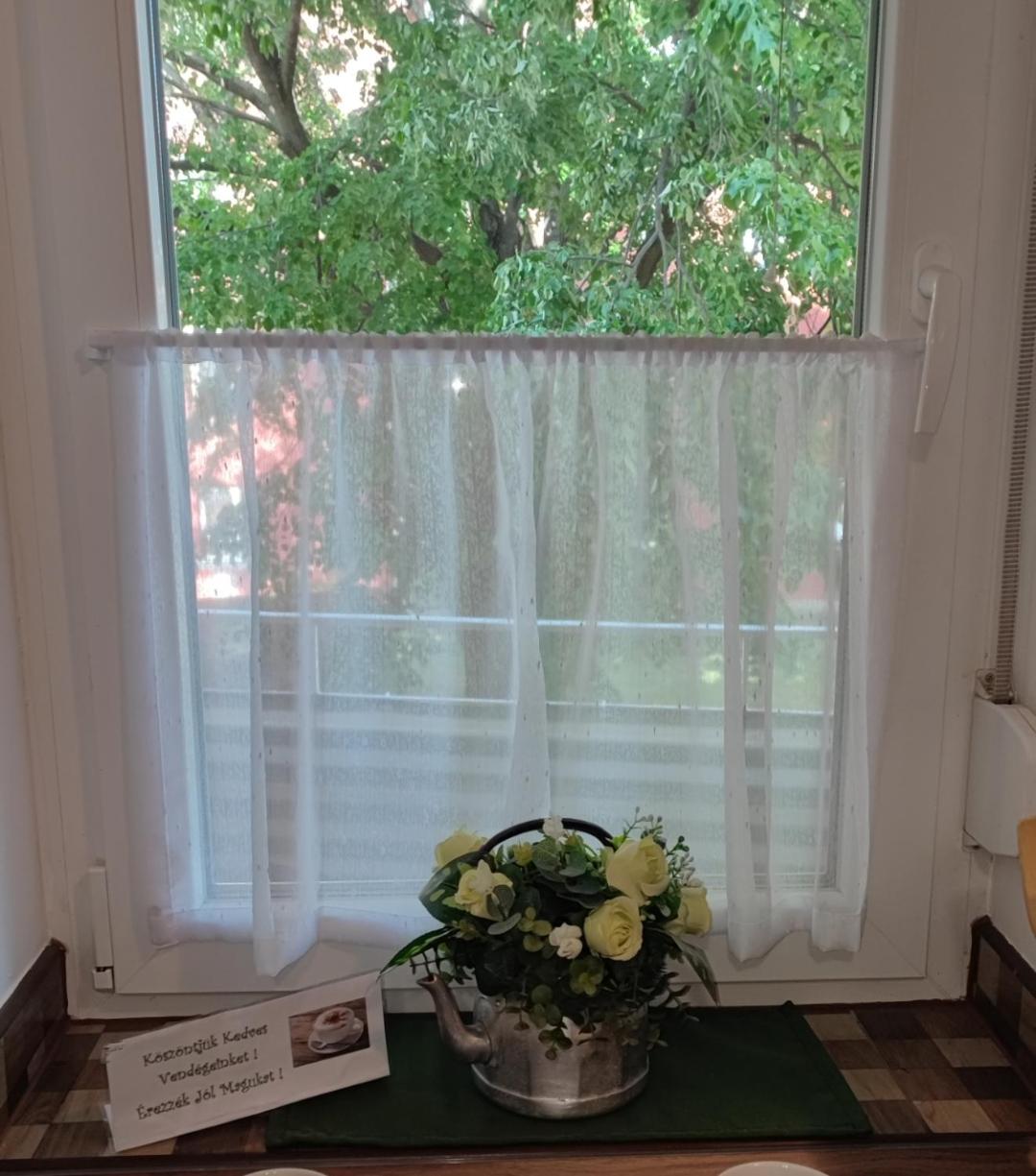 Fehérvár Cappuccino apartman City center, AC, Easy Parking