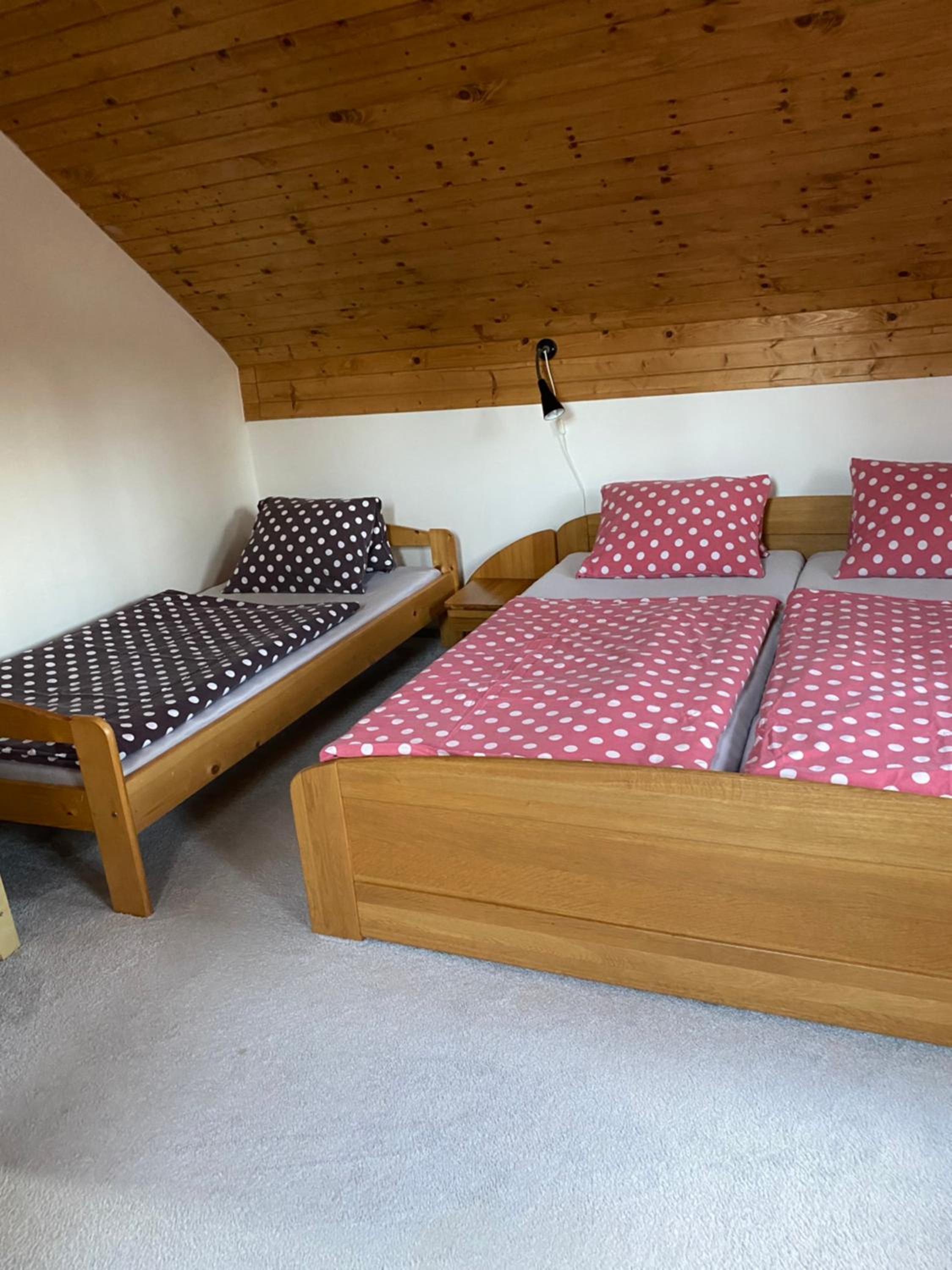 Apartmany U vleku 6