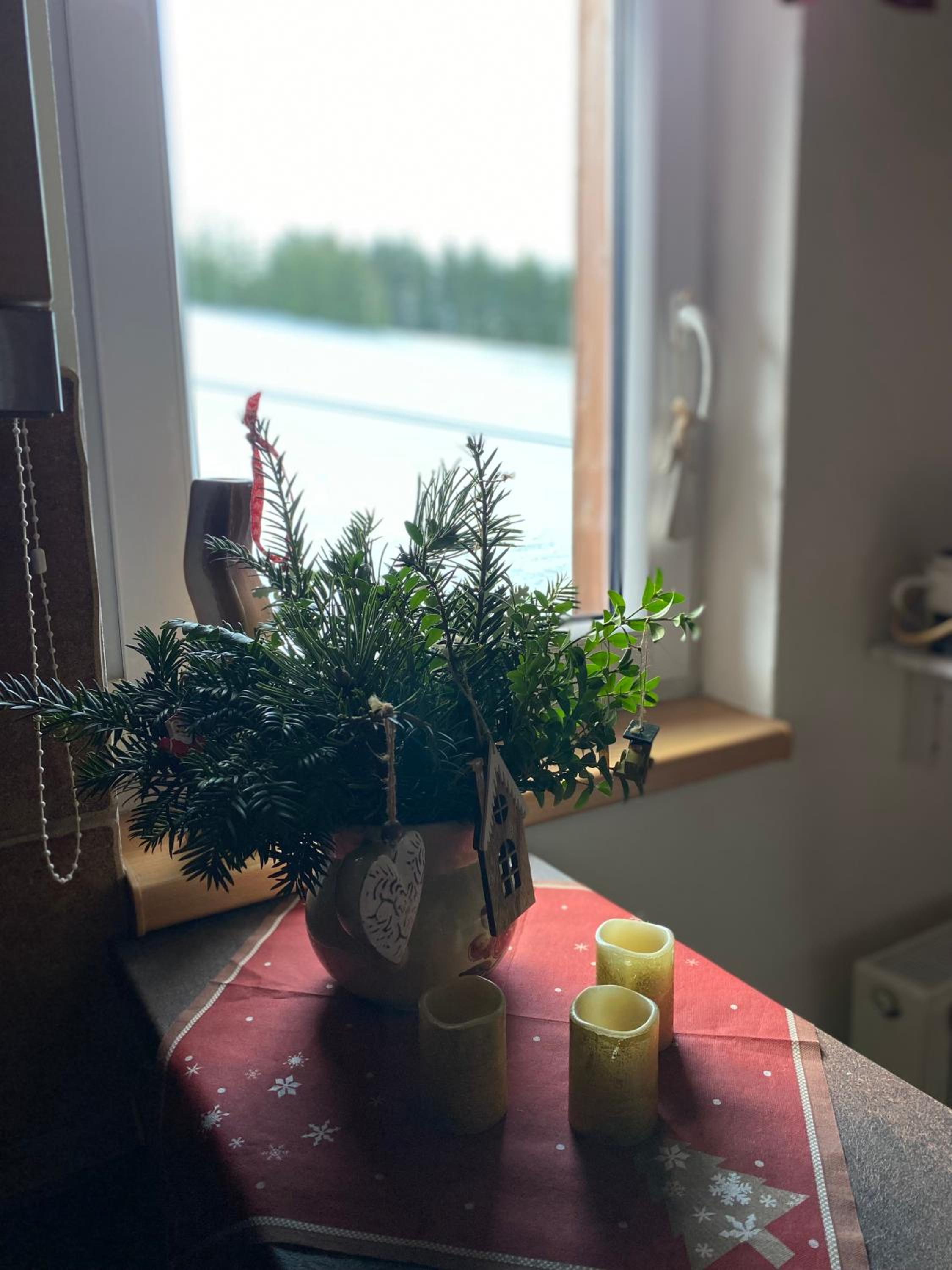 Apartmany U vleku 6