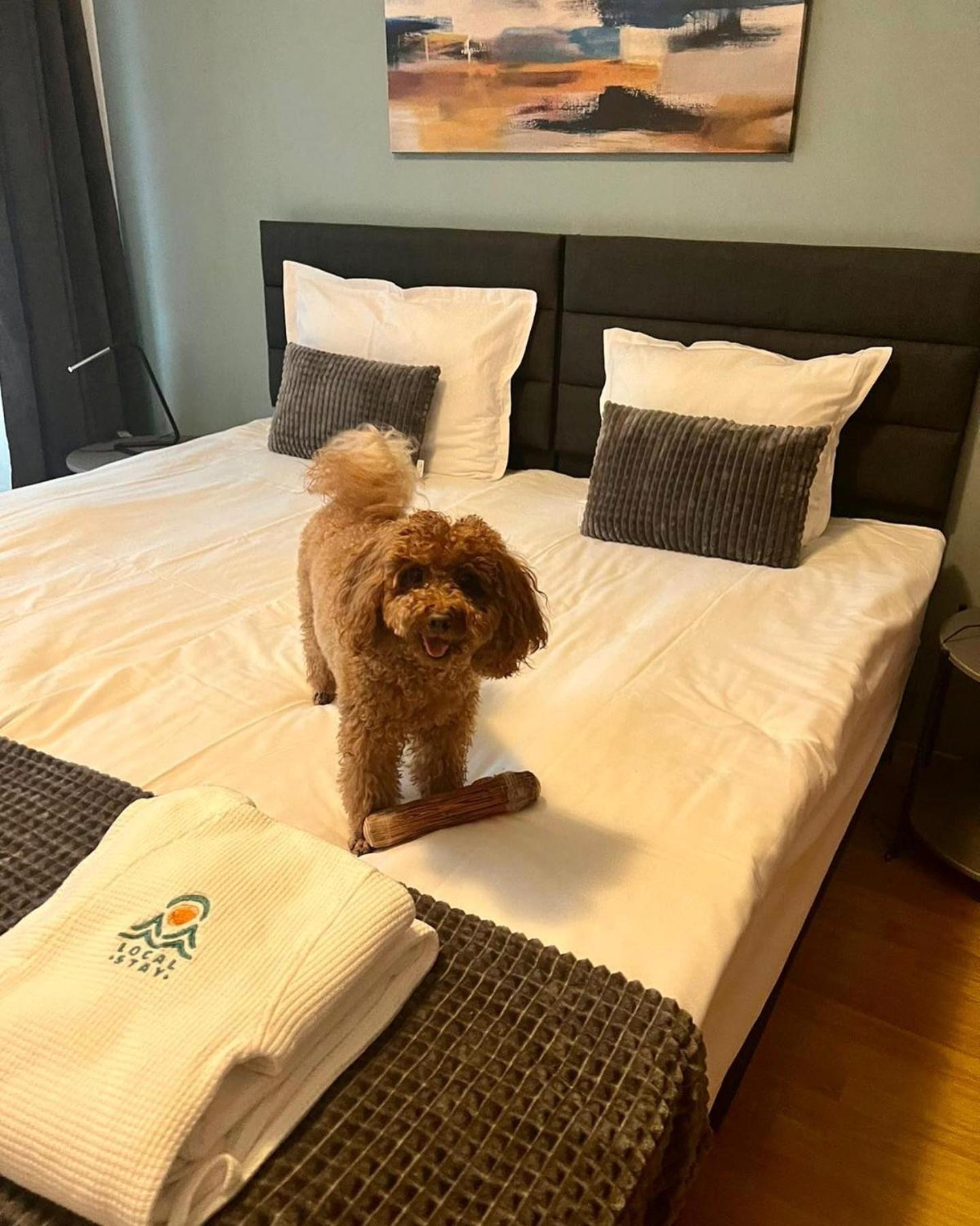 Local Stay Villas