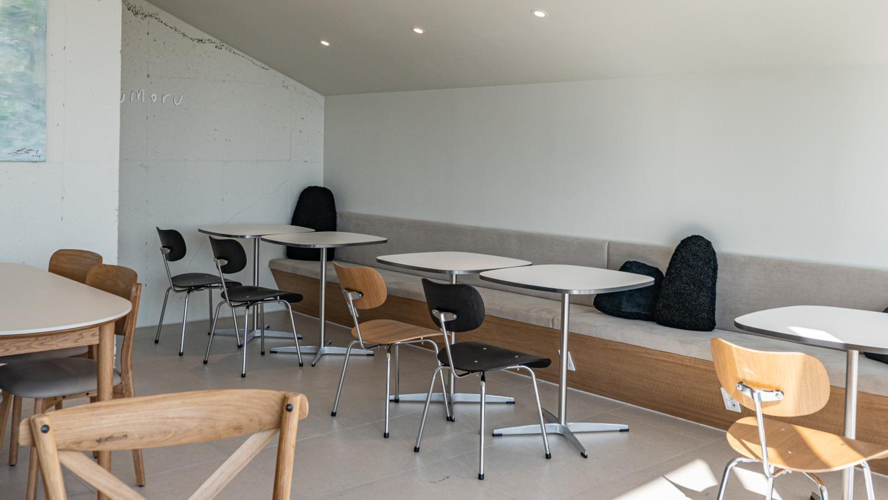 Jimi Stay