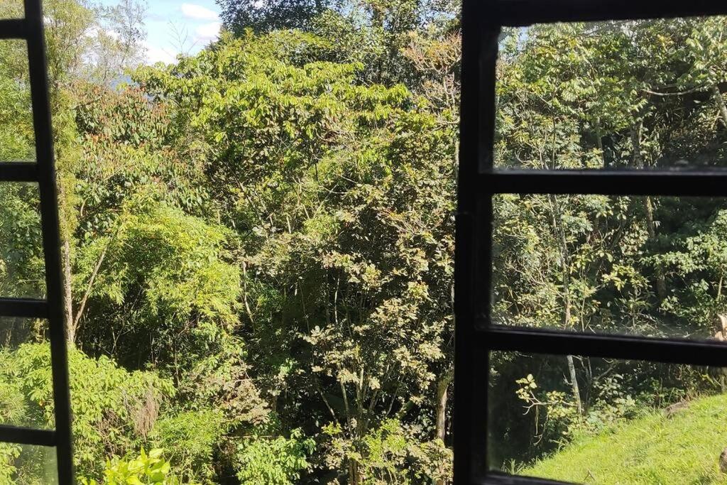 Campo Alegre: Loft con Vista