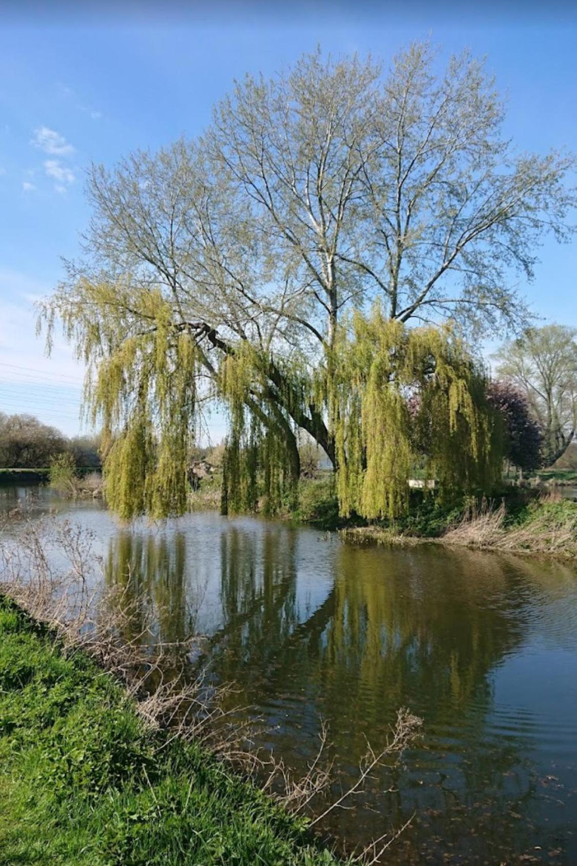 Photo 23