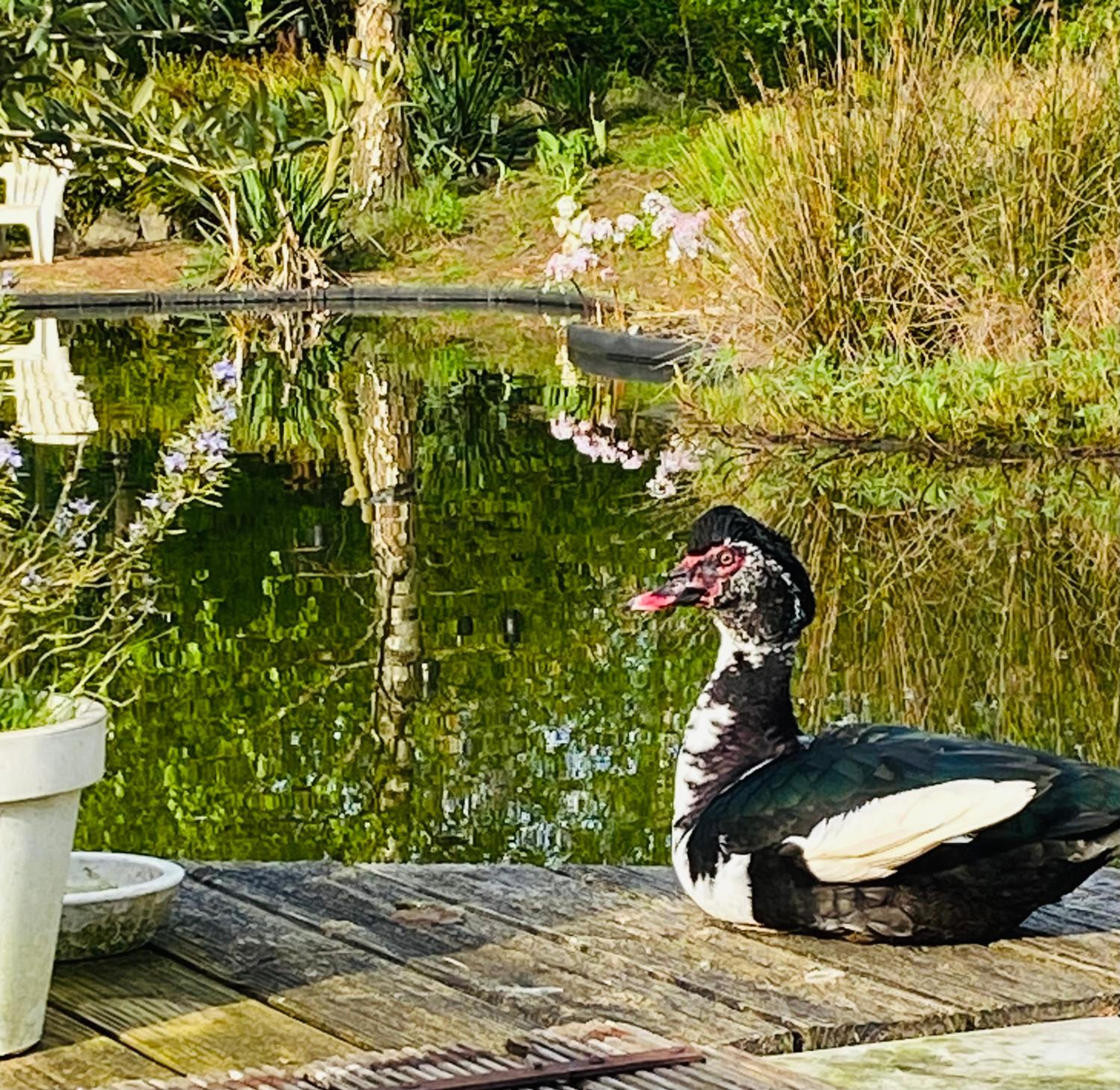 Ecolodge Almere