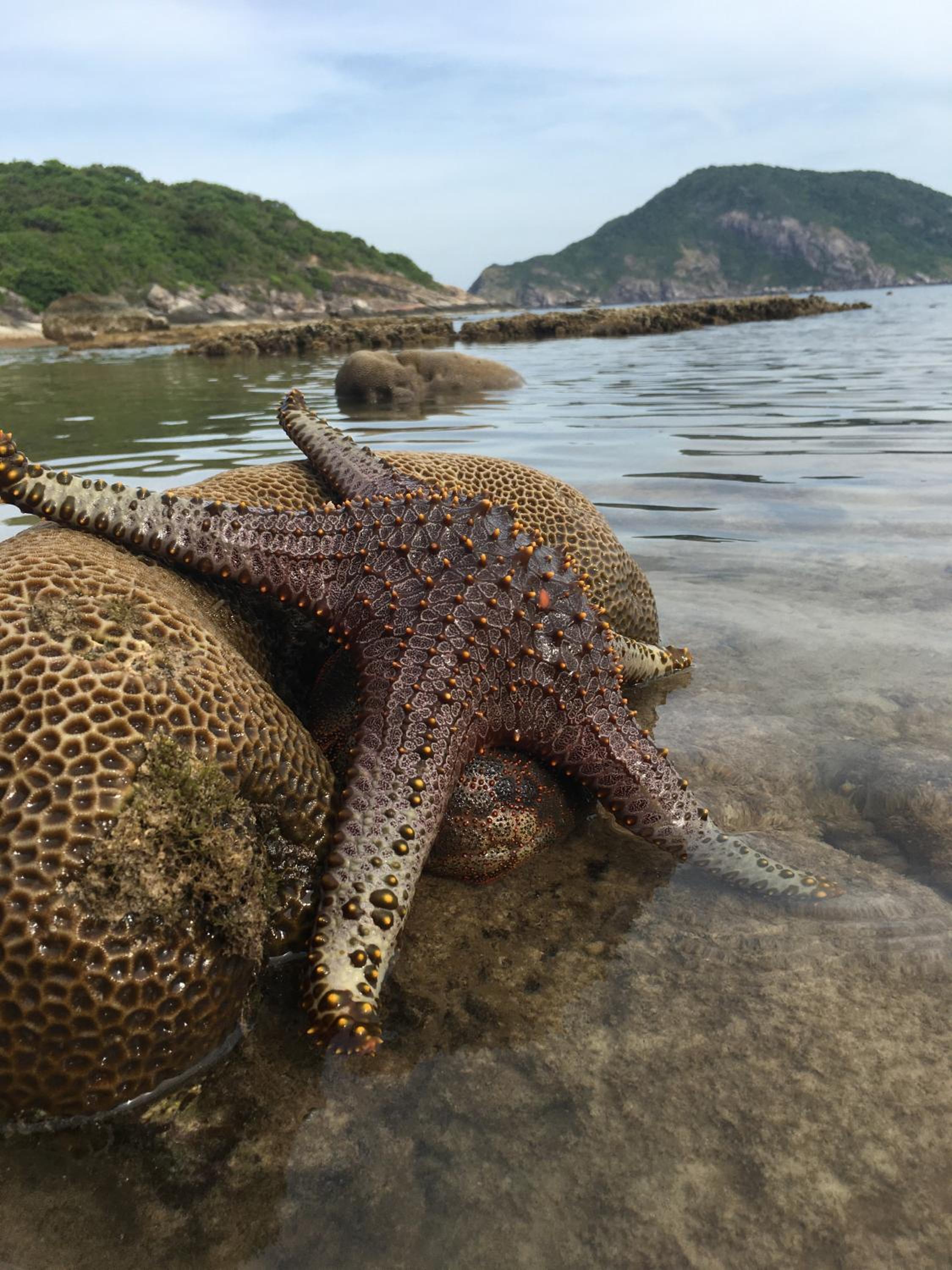 Cham Island Homestay Lau Thu view 4