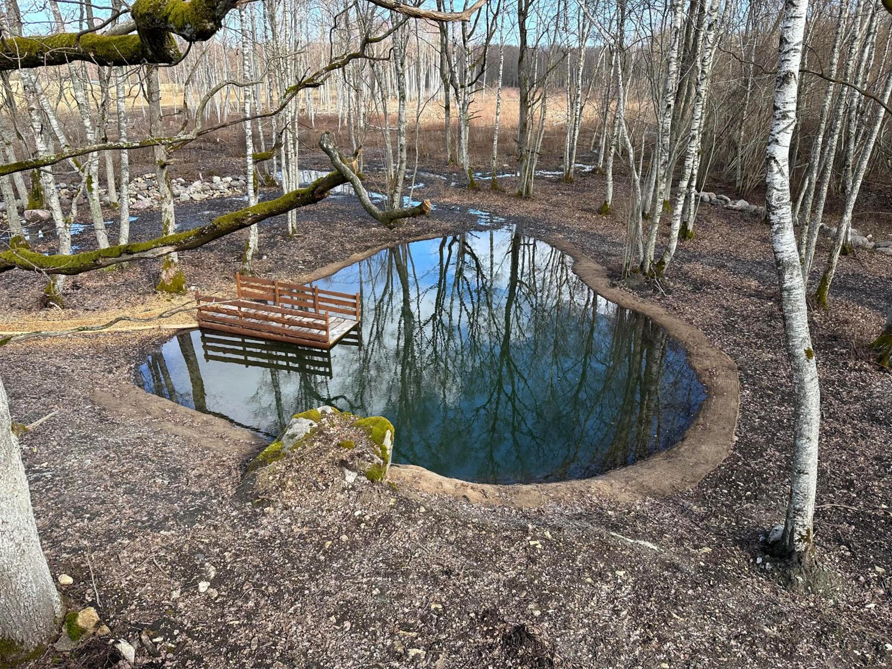 Lepikumäe Holiday Home with Sauna and Hot tub for up to 18 persons view 5