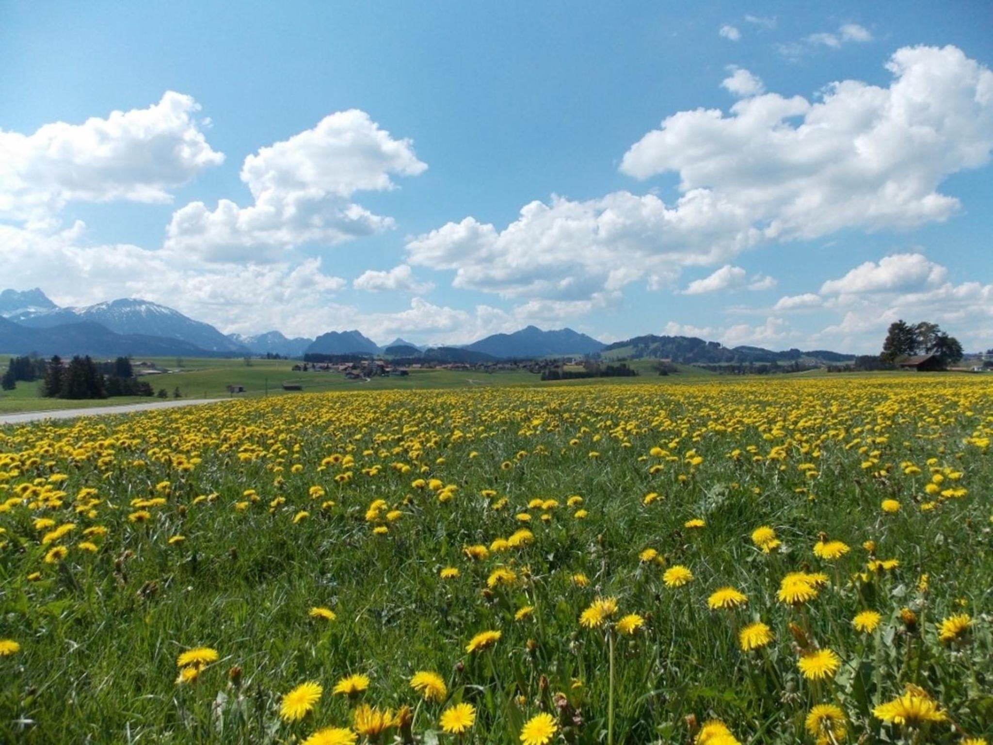 Ferienhof Hefele Zimmer Alpsee mit KönigsCard