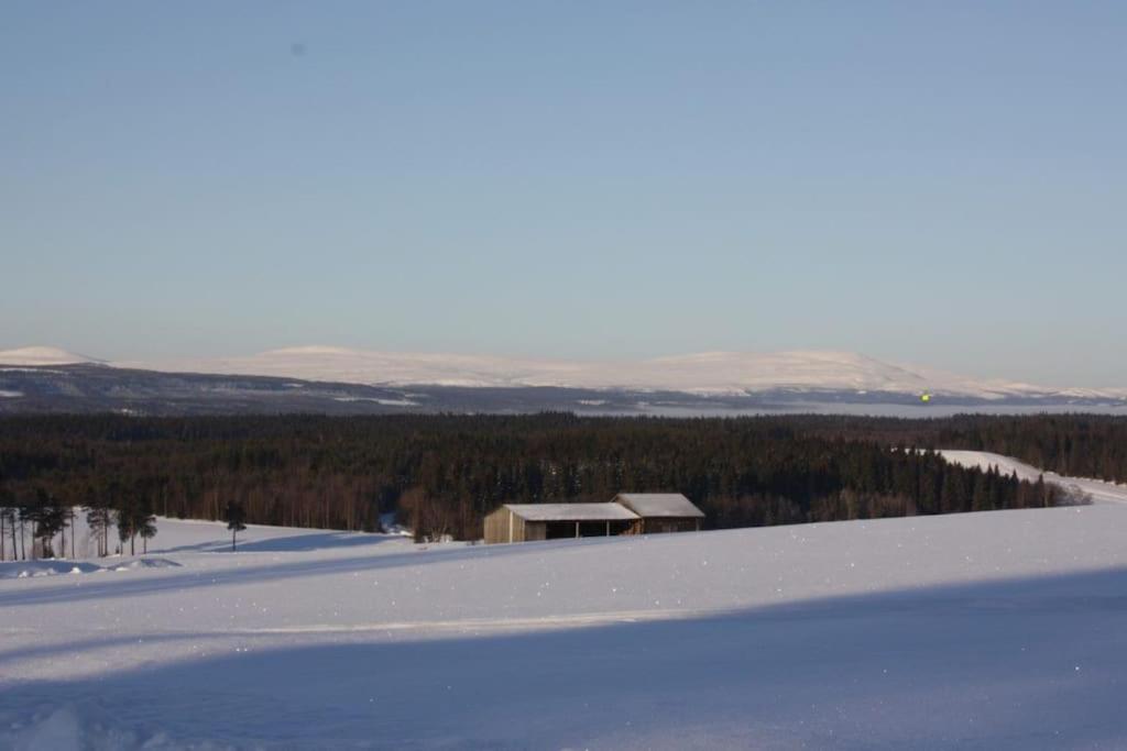 Bydalsfjällen Östersund Åre Jämtland view 5