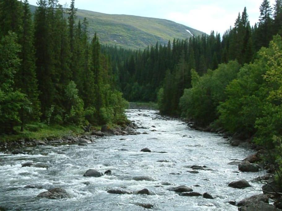 Photo 8