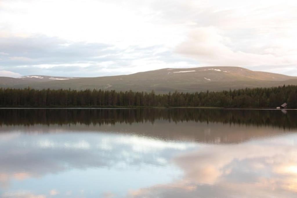 Photo 20