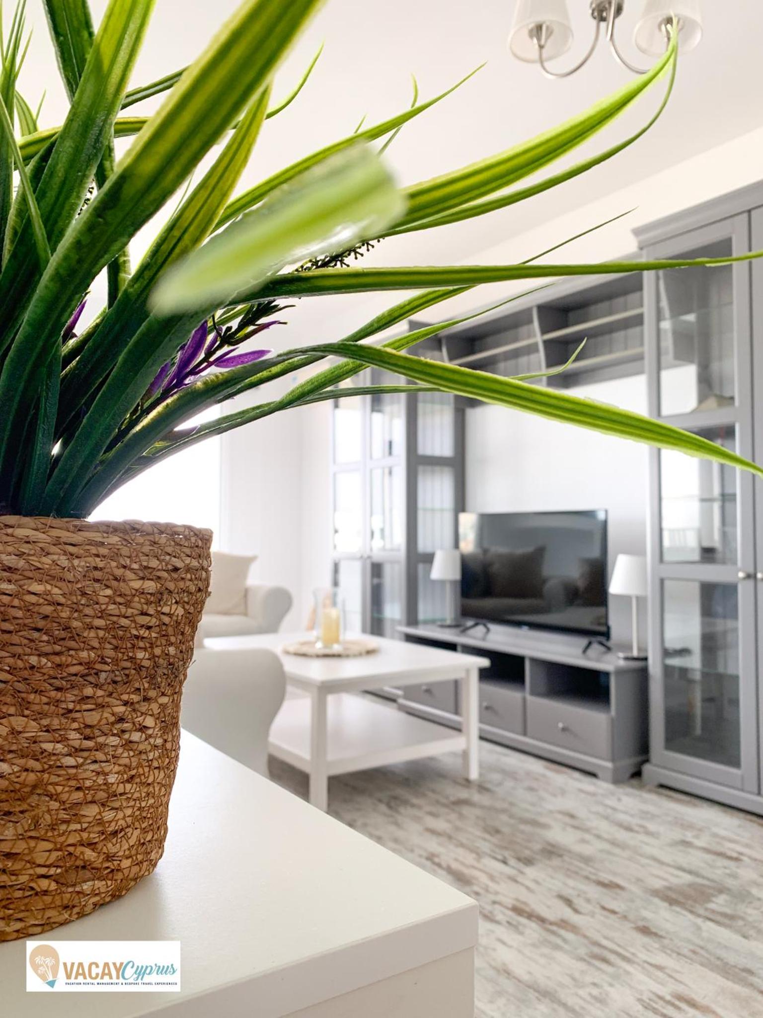 Downtown Larnaca Apartment