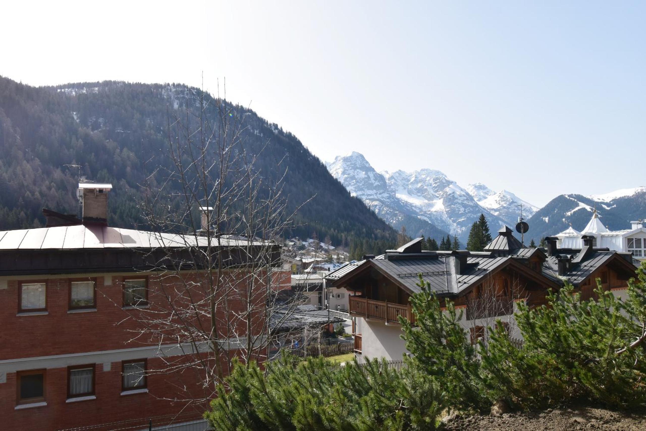 Photo 46
