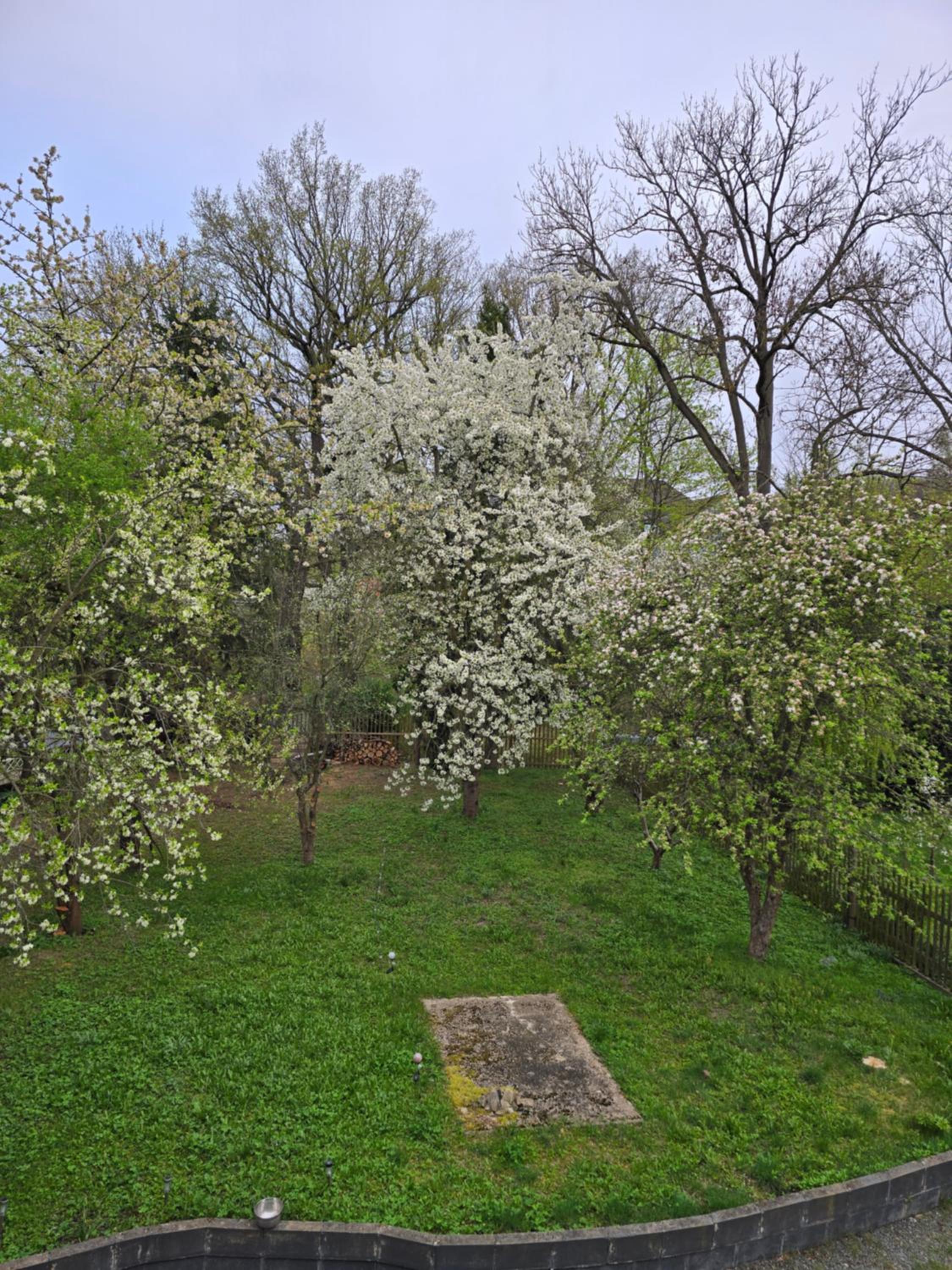 Villa Küchwald