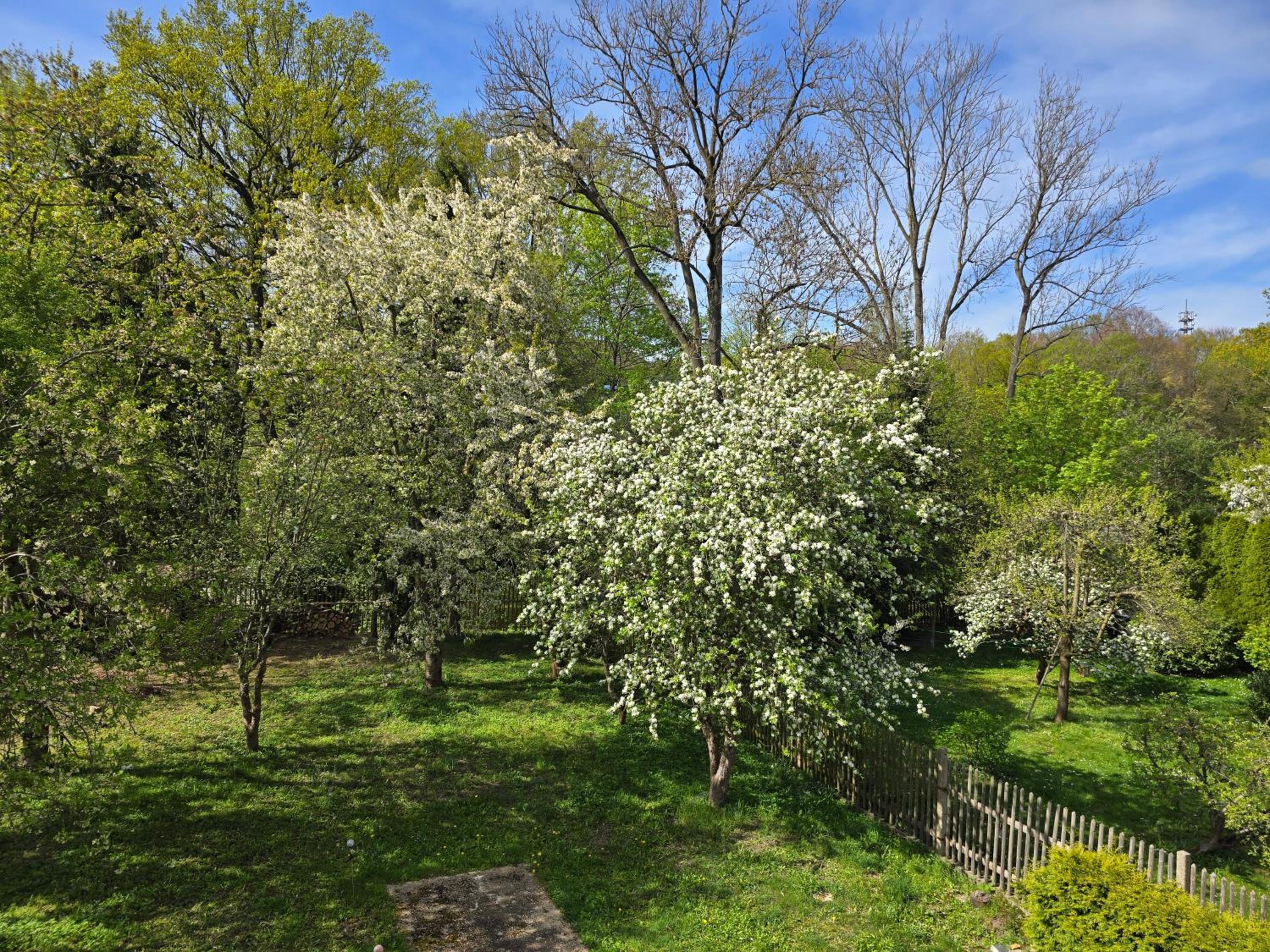 Villa Küchwald