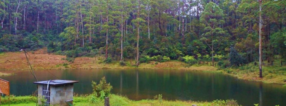 Viewscape Nuwara Eliya view 5
