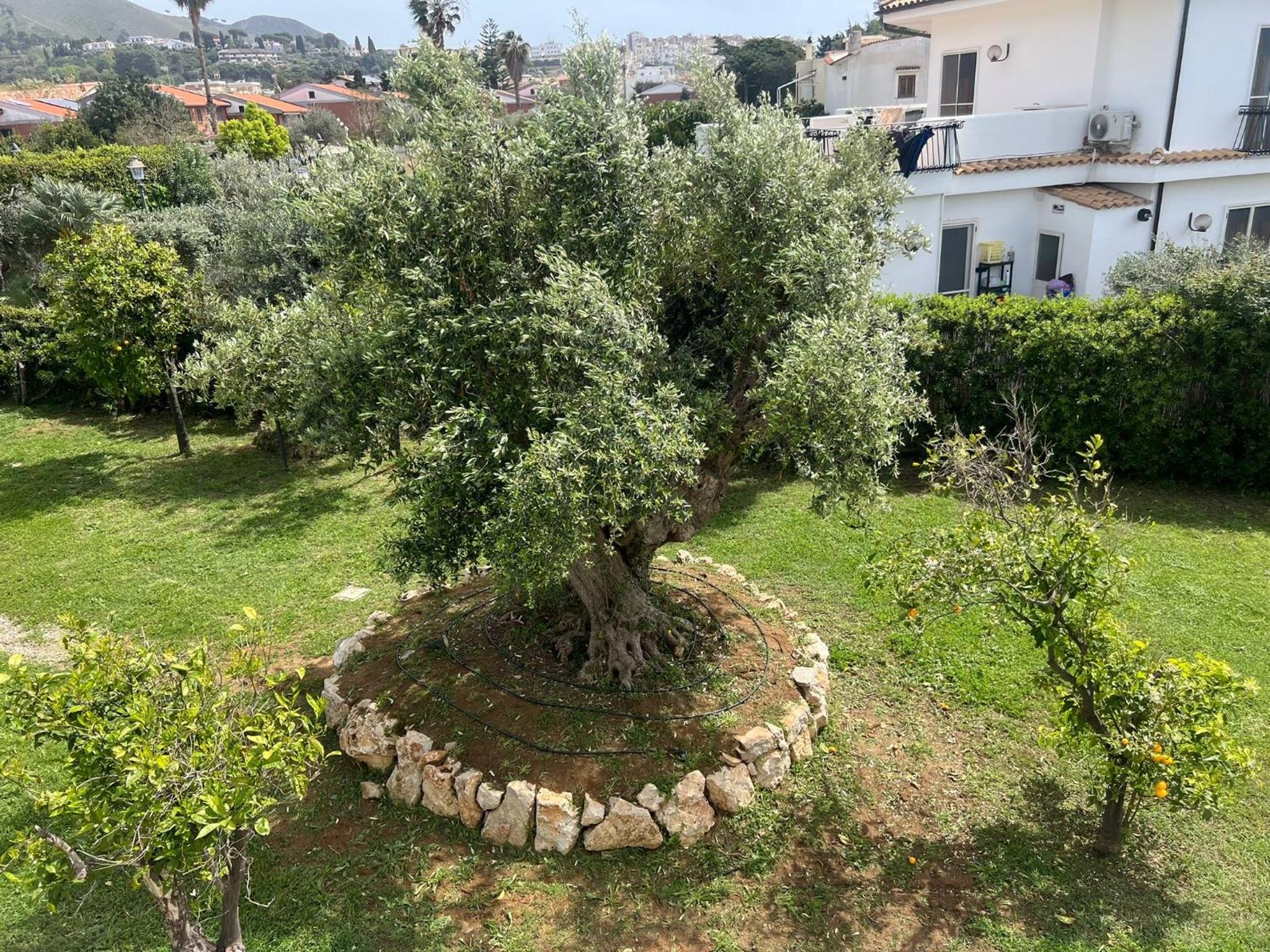 Sperlonga Apartment