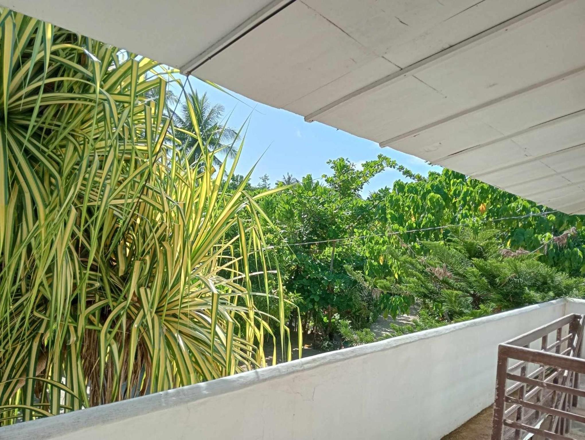 Alegria siargao holiday stay view 2