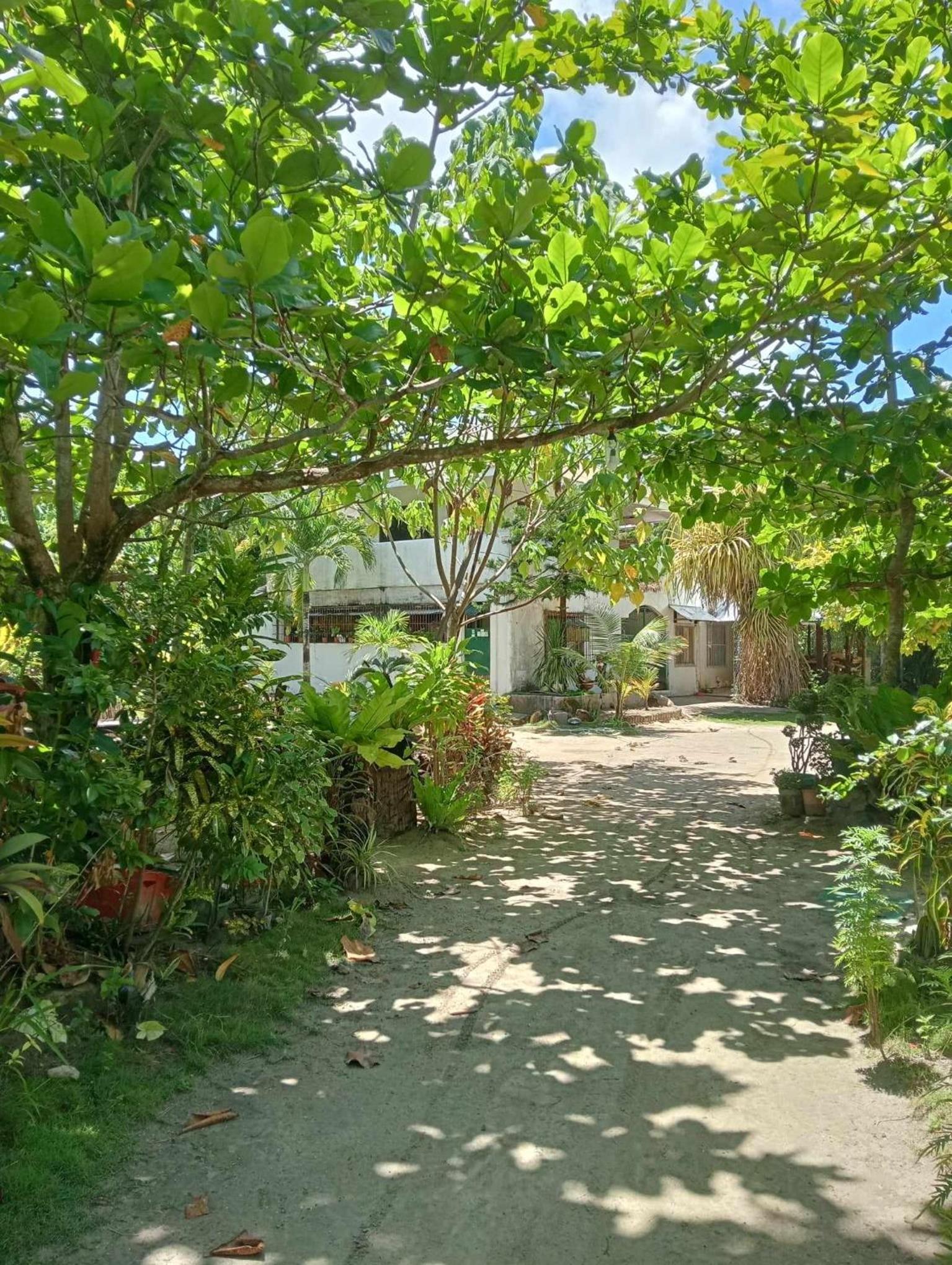 Alegria siargao holiday stay view 4