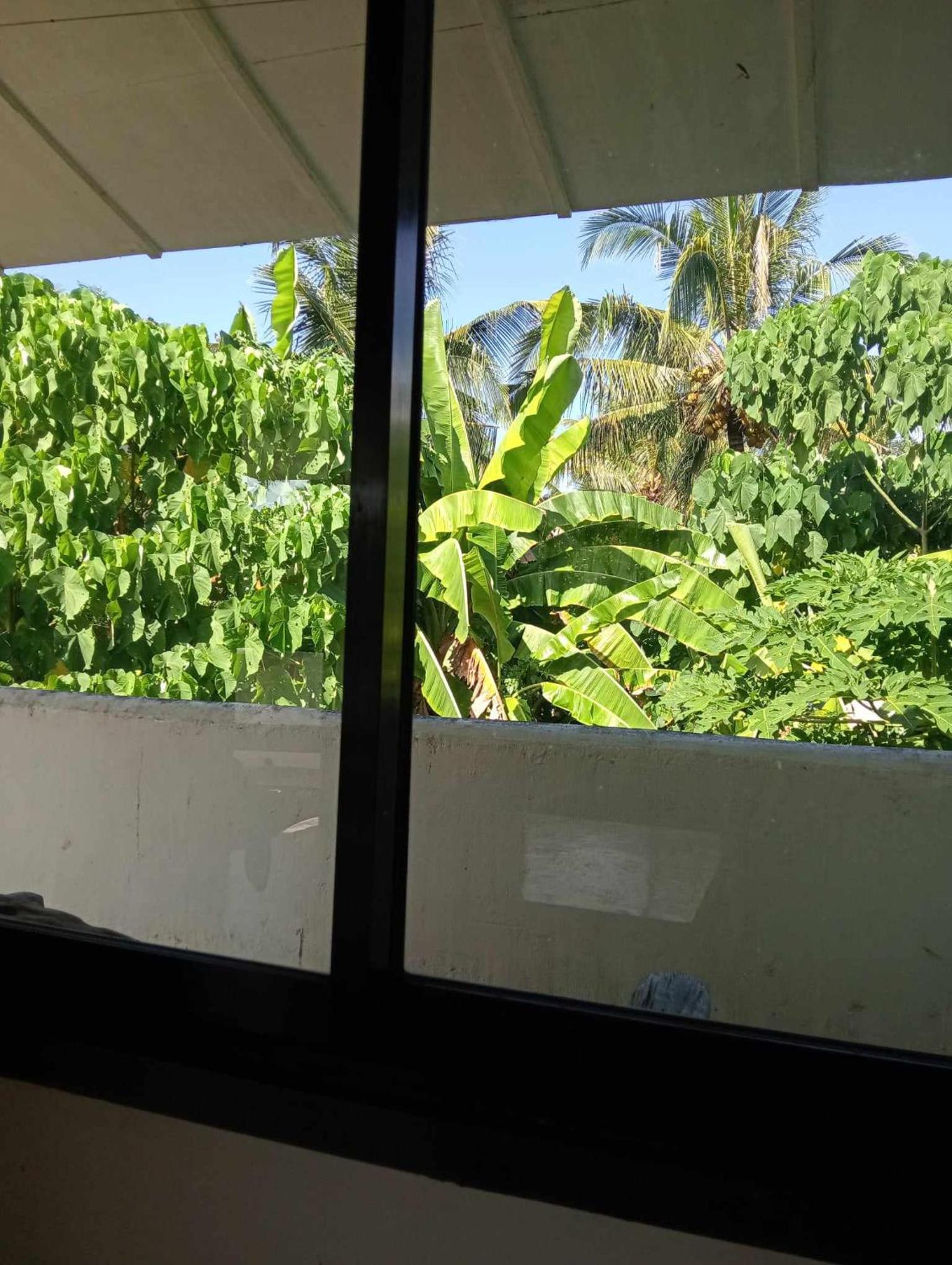 Alegria siargao holiday stay view 5