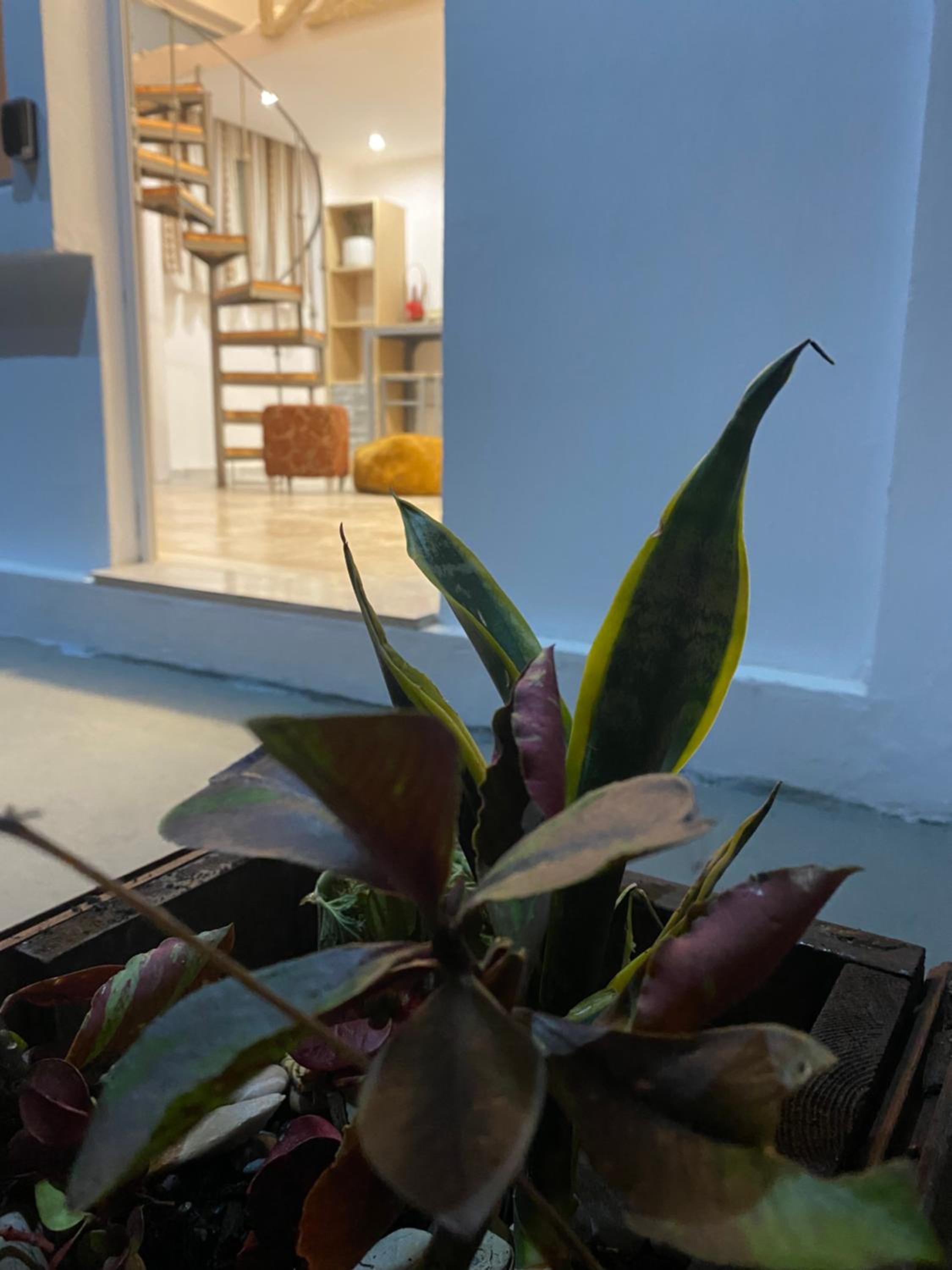 Flowers Lullaby Loft