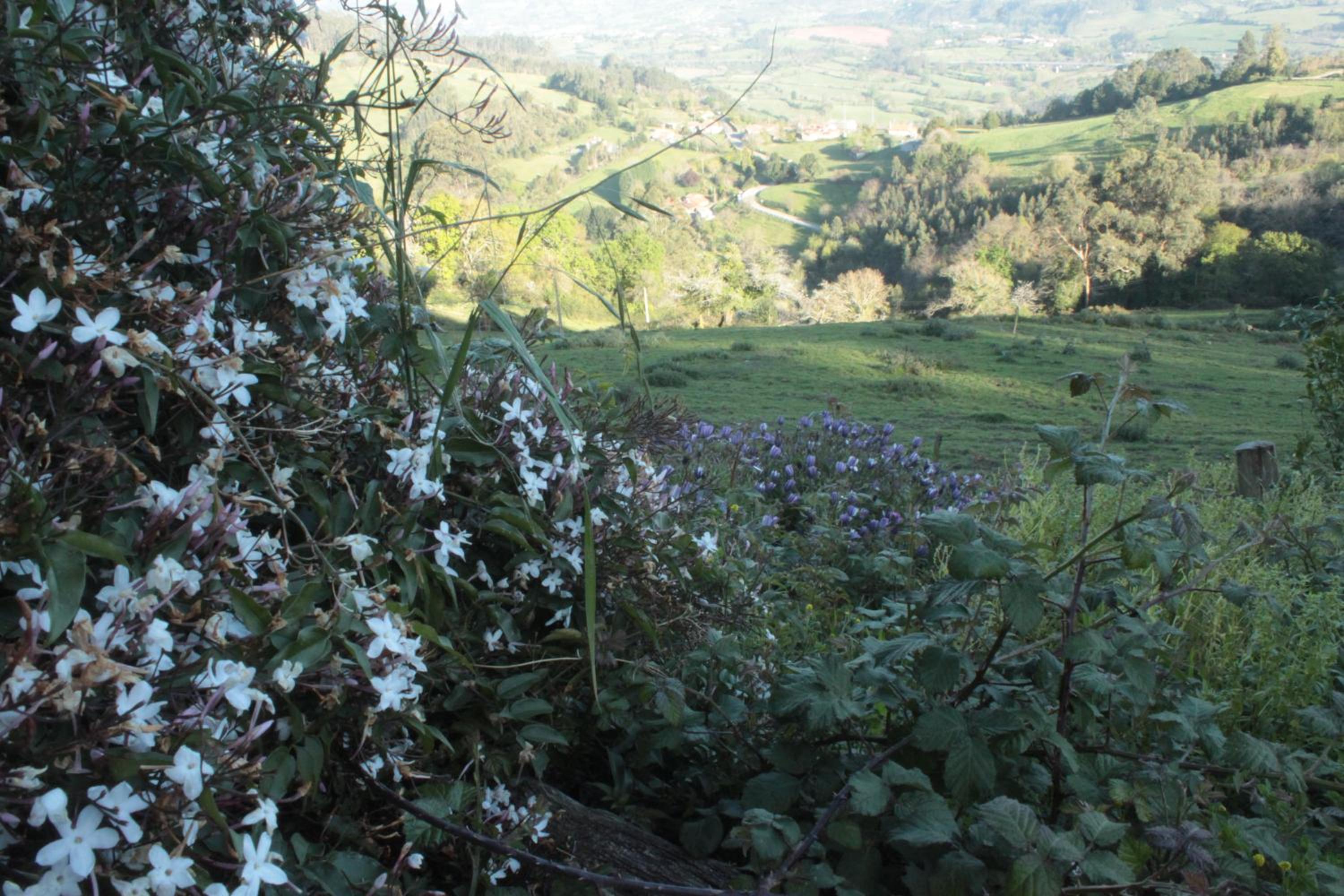 Alojamientos Rurales Peña Crespa