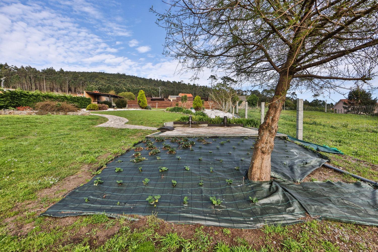 Cabañas de Mallas
