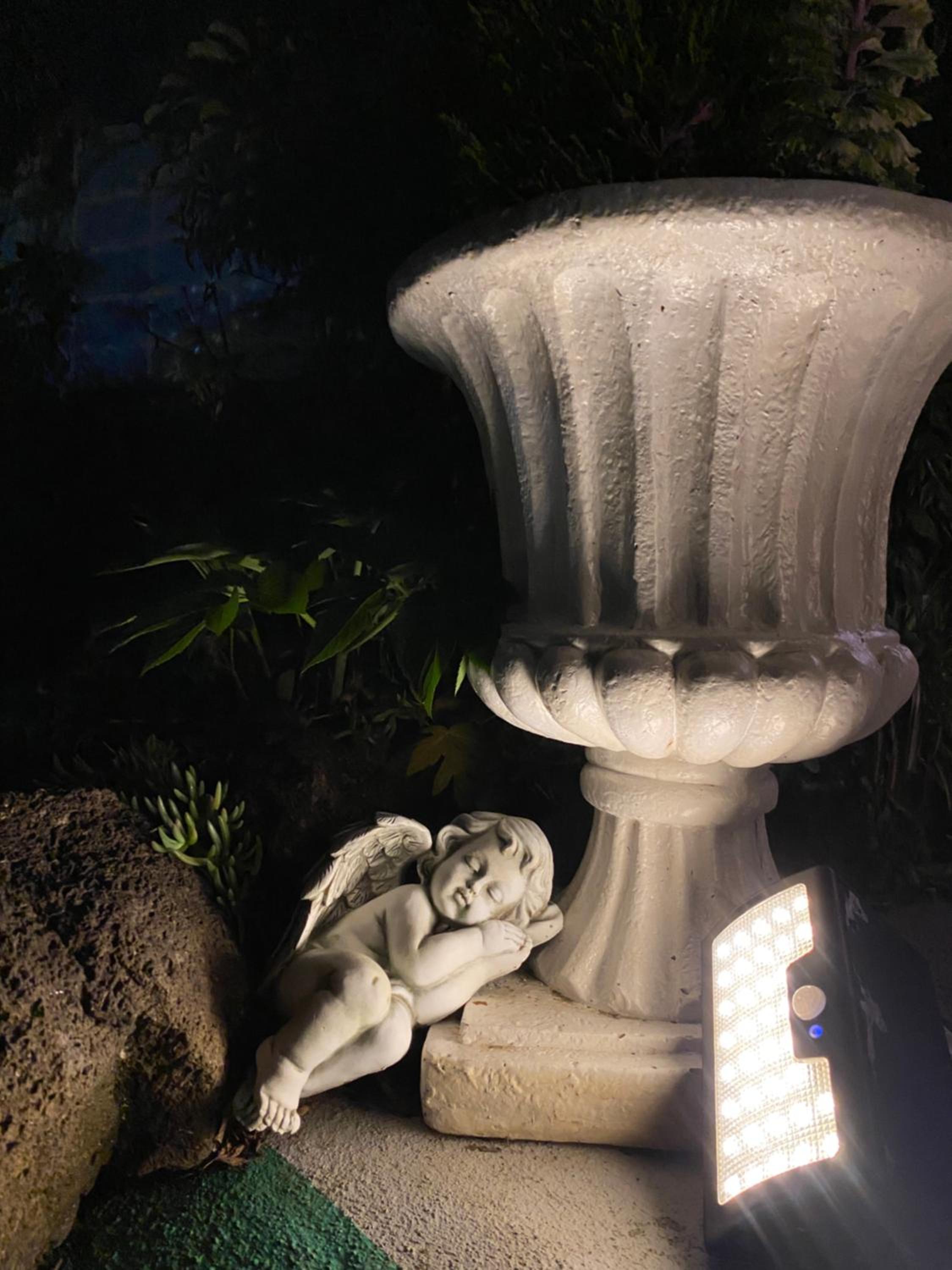 Photo 45