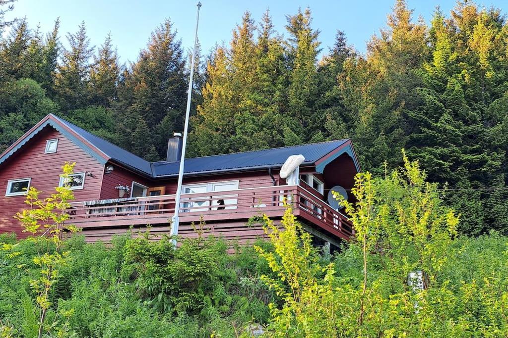 Hytte på Bleik I gangavstand til fjellet Måtind NB Må vaskes etter endt leie eller betale 1100 for rengjøringshjelp view 5