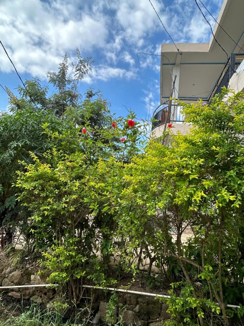 Photo 46