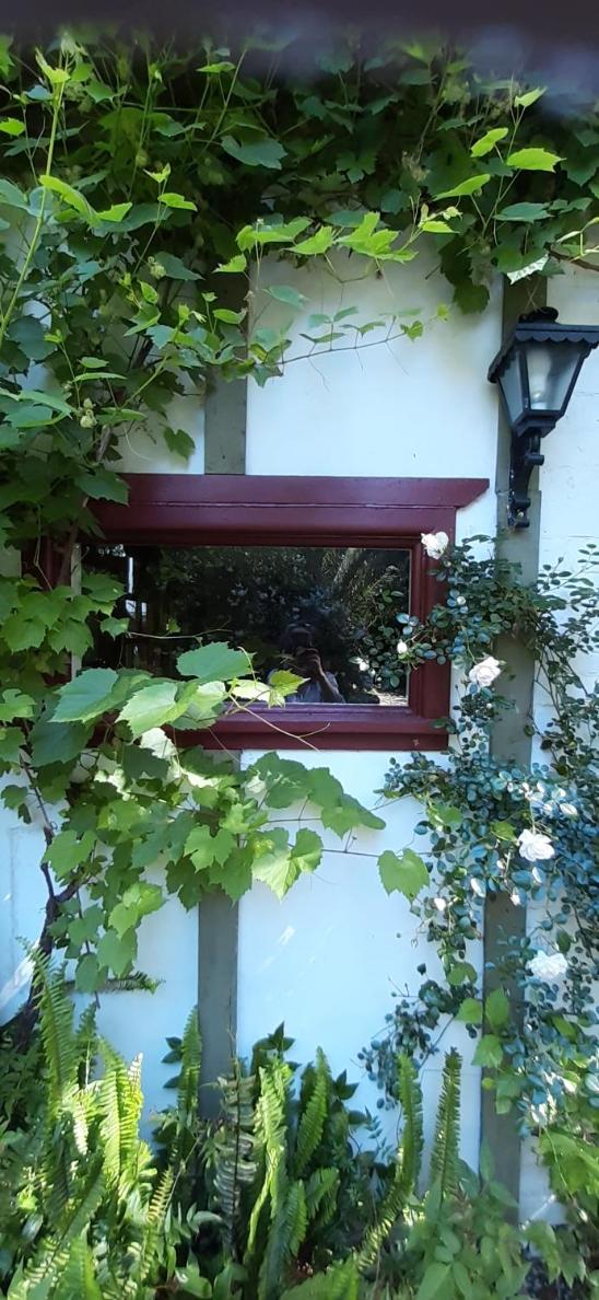 Garden studio