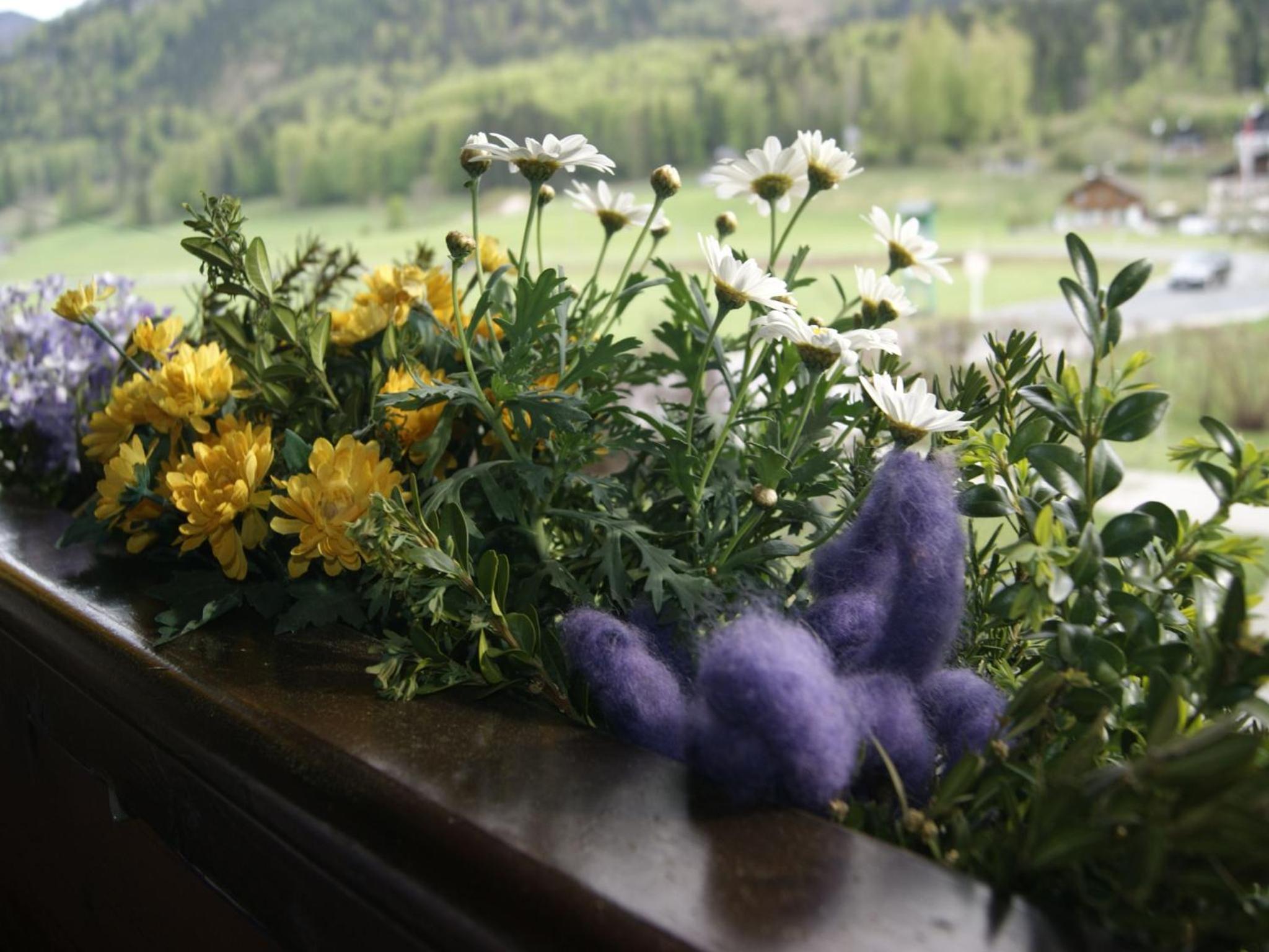 Apartment Nähe Wolfgangsee Salzkammergut