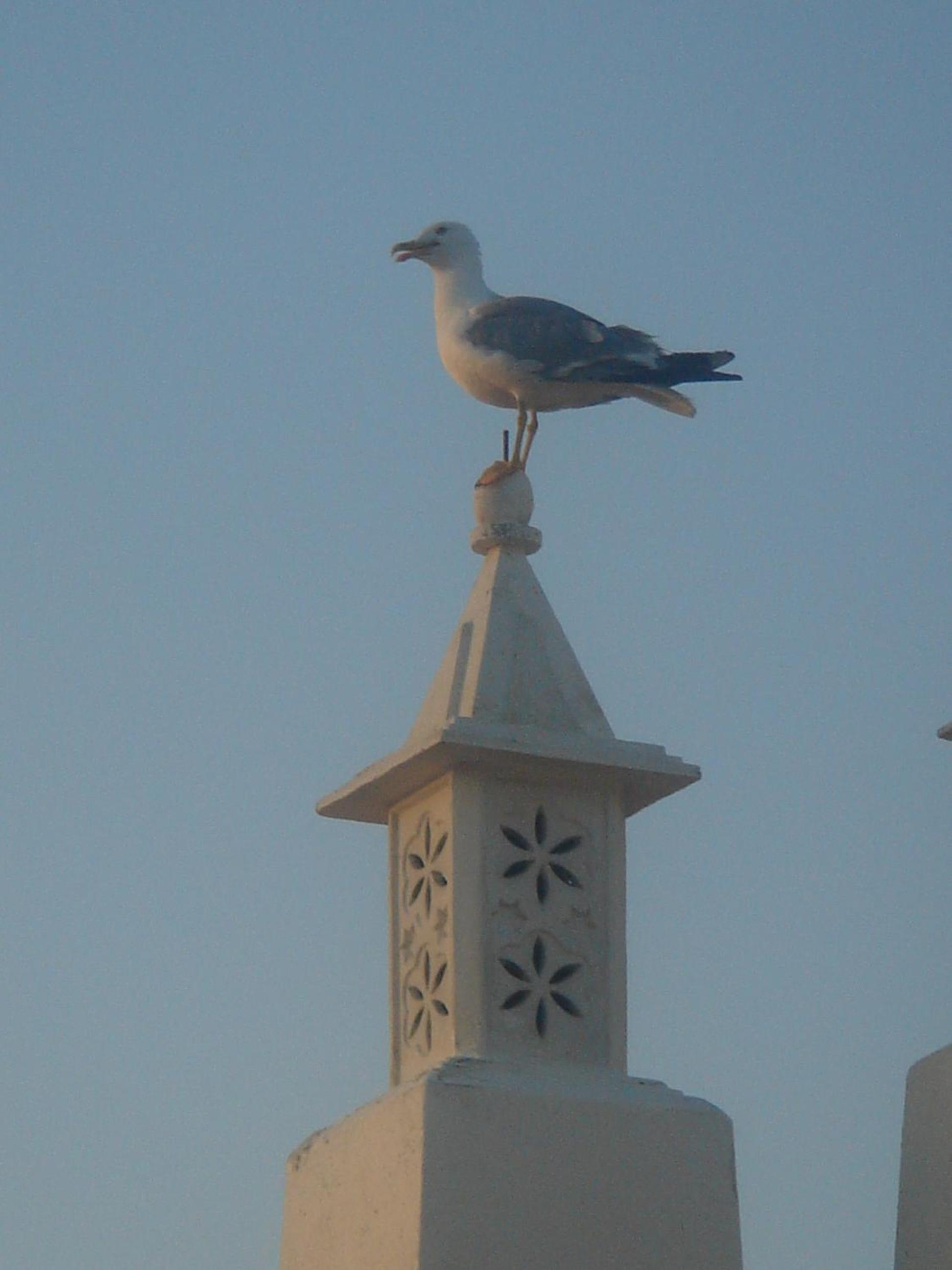Photo 46