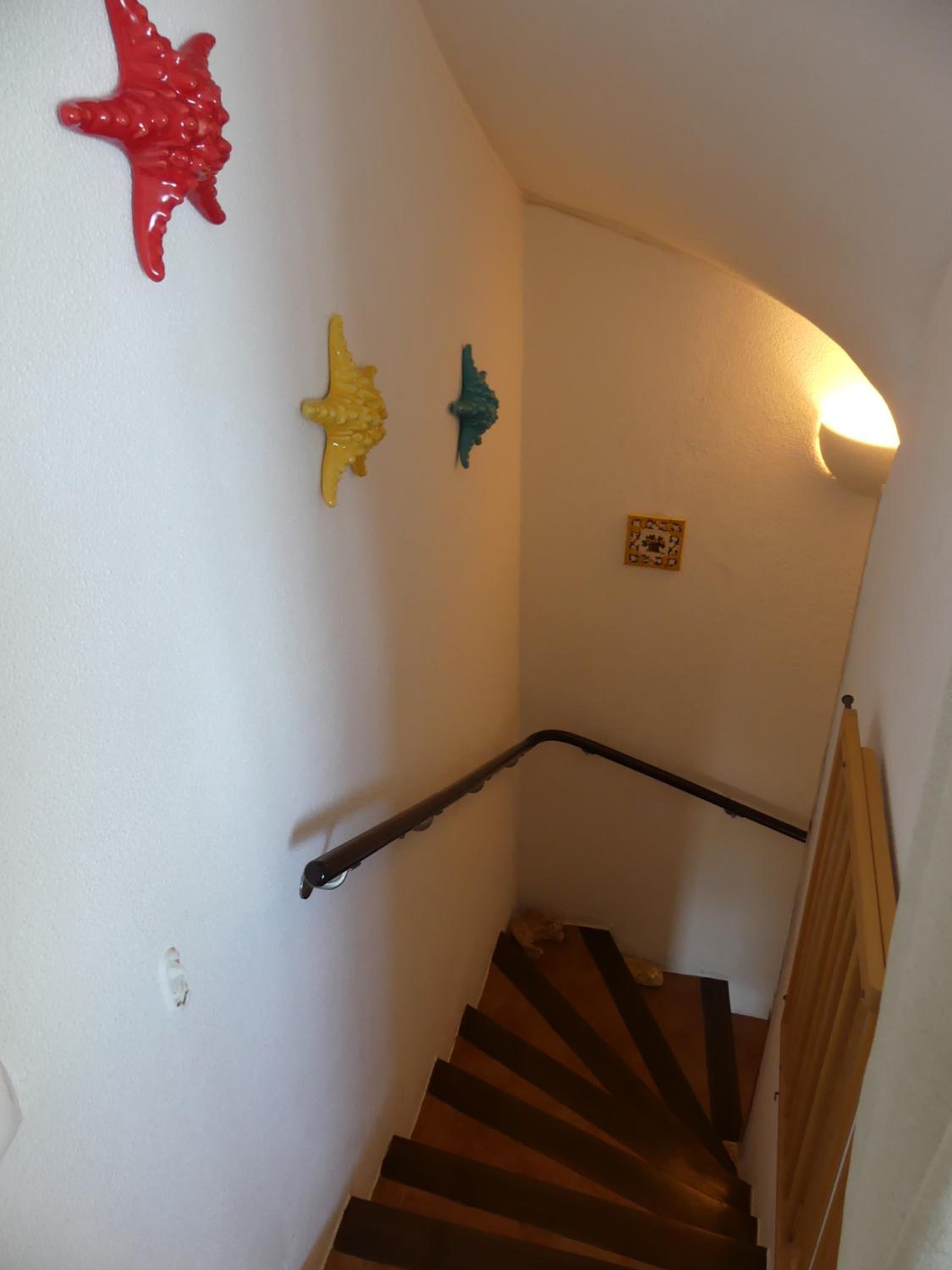 Photo 54