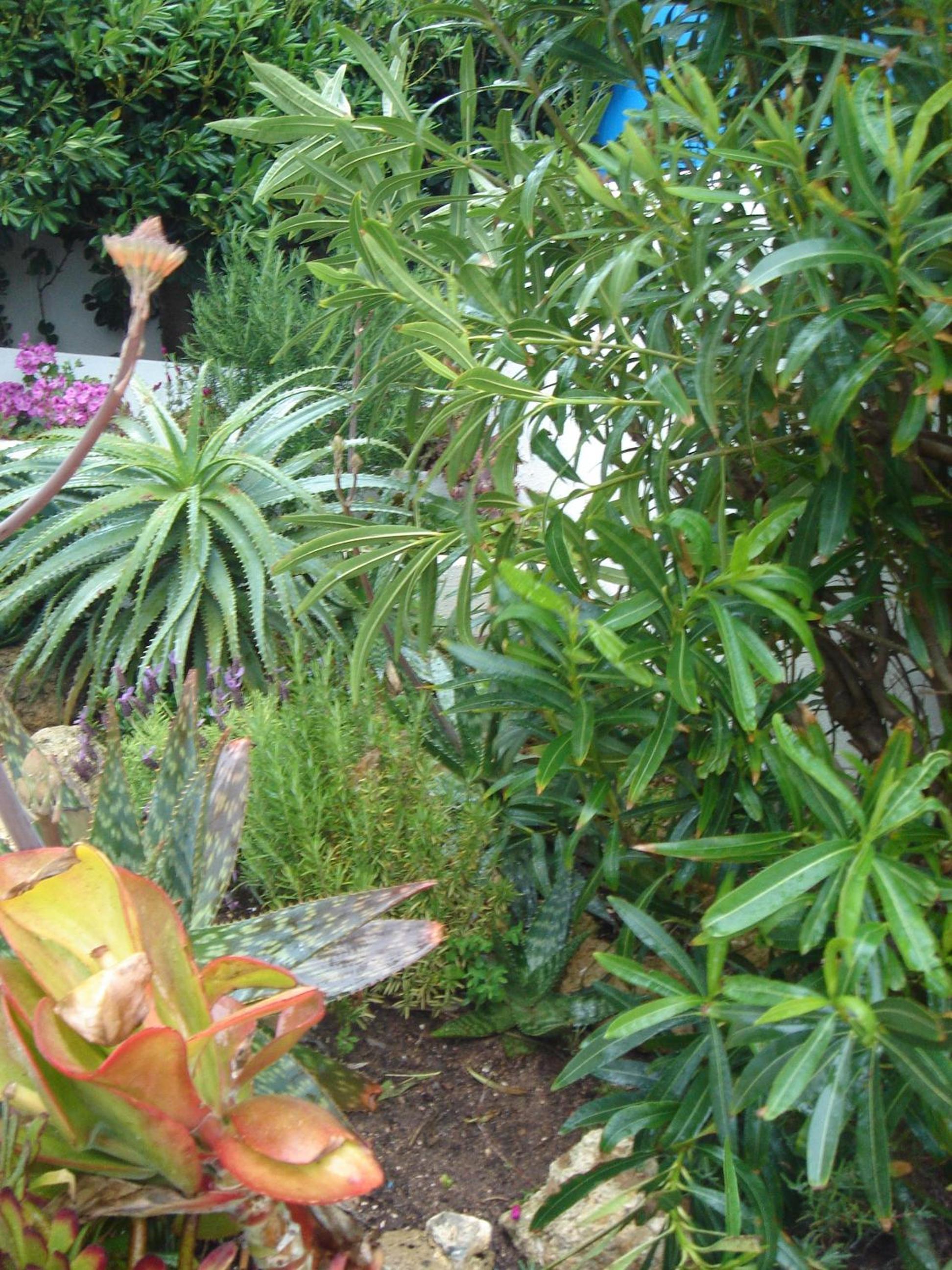 Photo 65