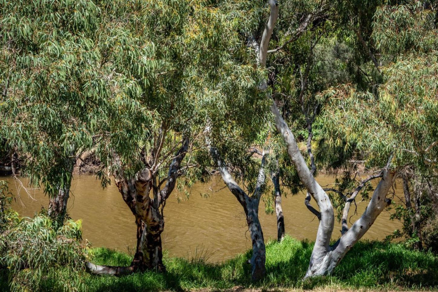 River Homestead