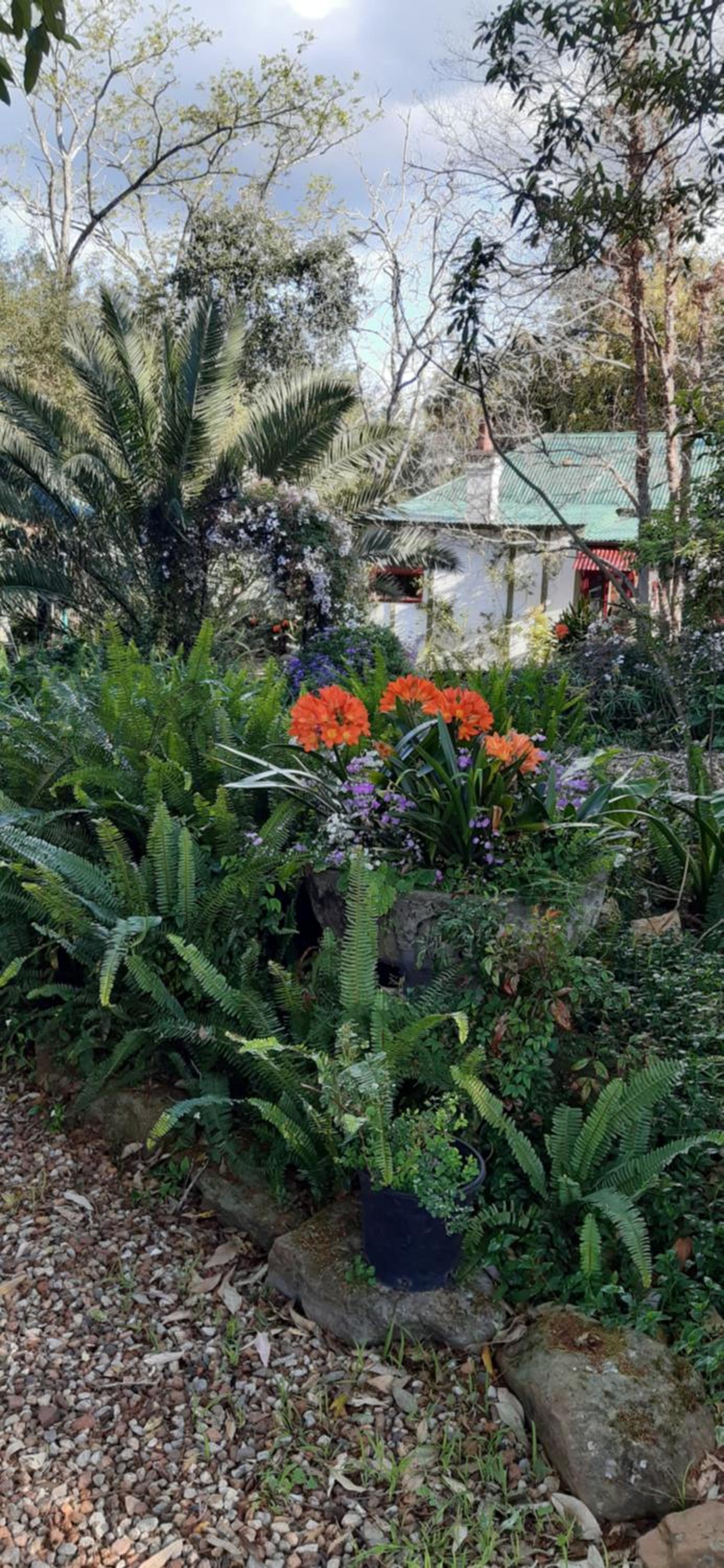 Garden studio
