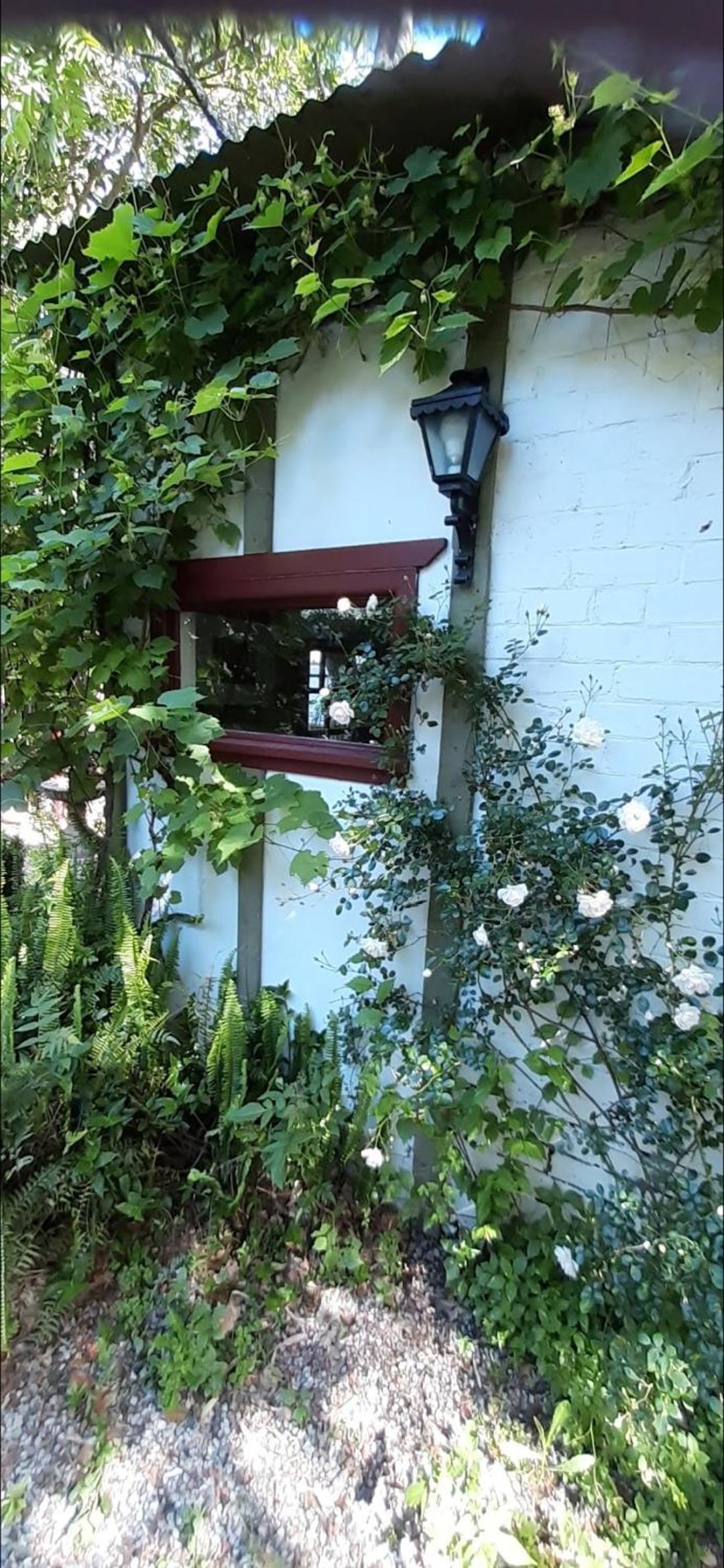 Garden studio