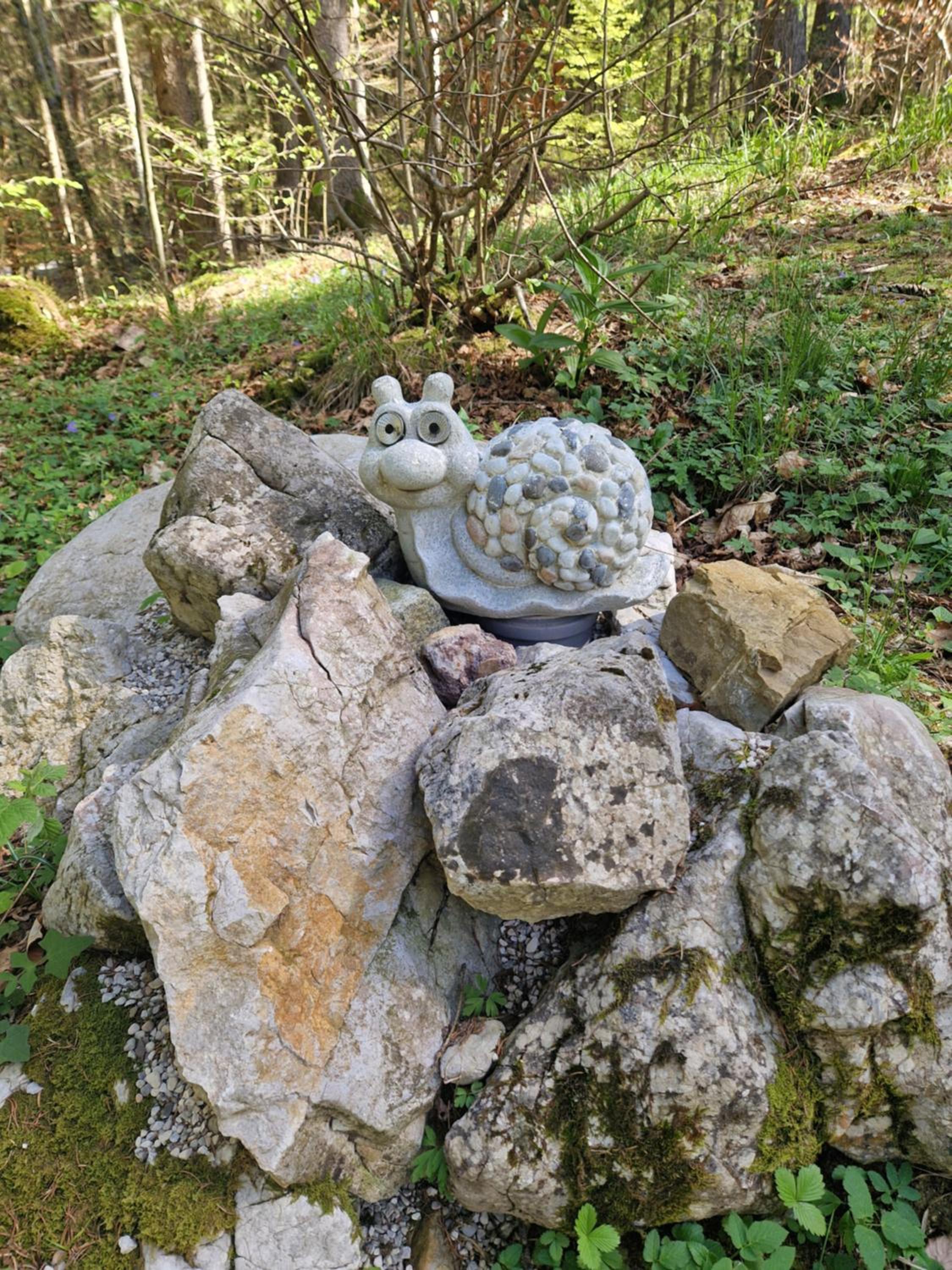 Photo 40
