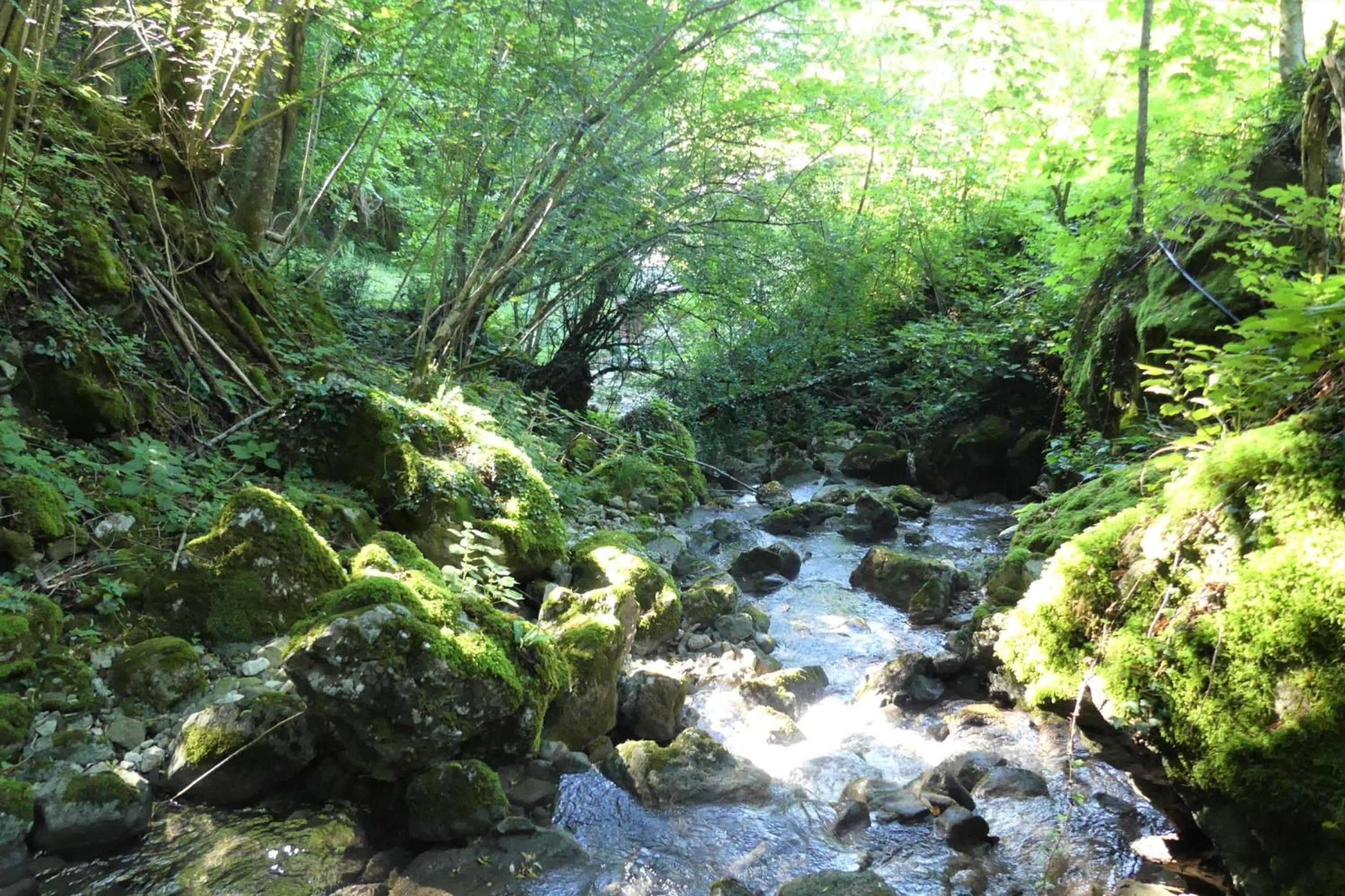 House By The Stream in Soča Valley - Happy Rentals, photo 27