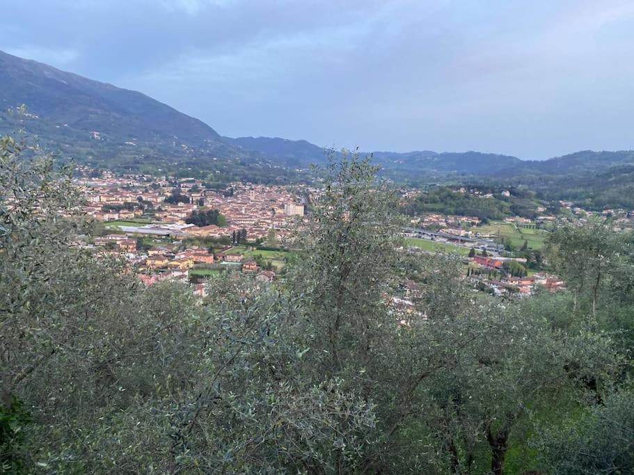 Casa Rurale in mezzo al verde view 2