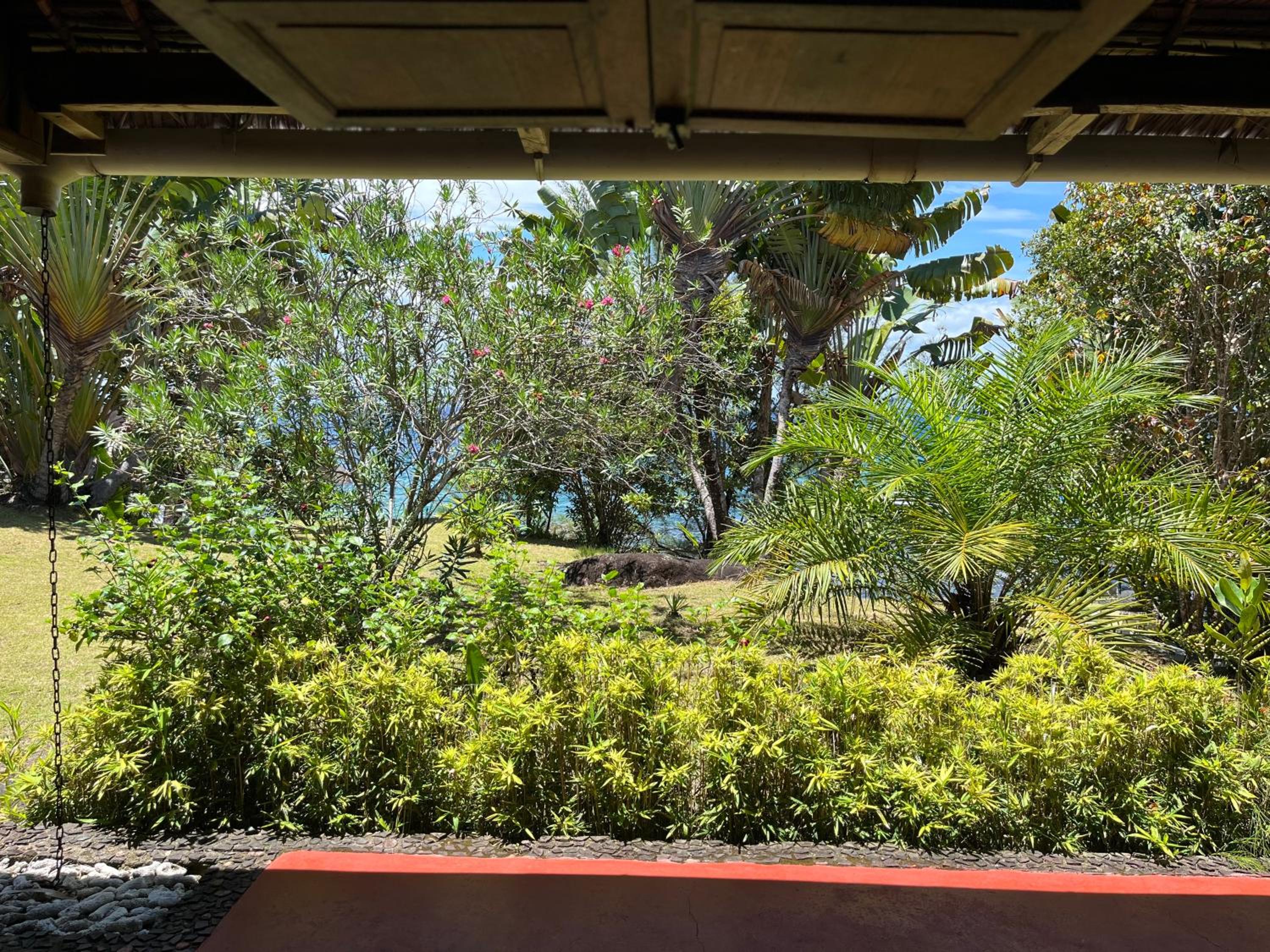 Ambia lodge view 2