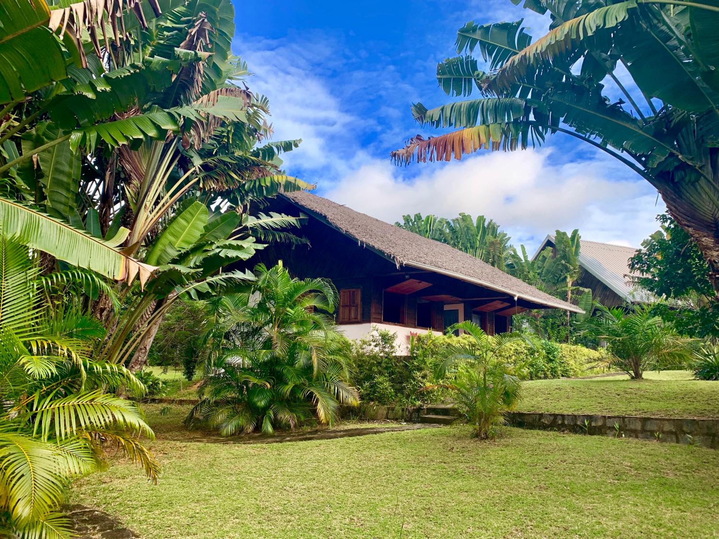 Ambia lodge view 3