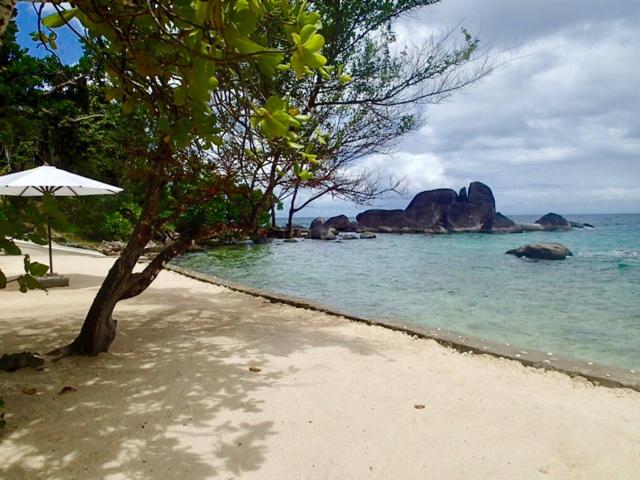 Ambia lodge view 5