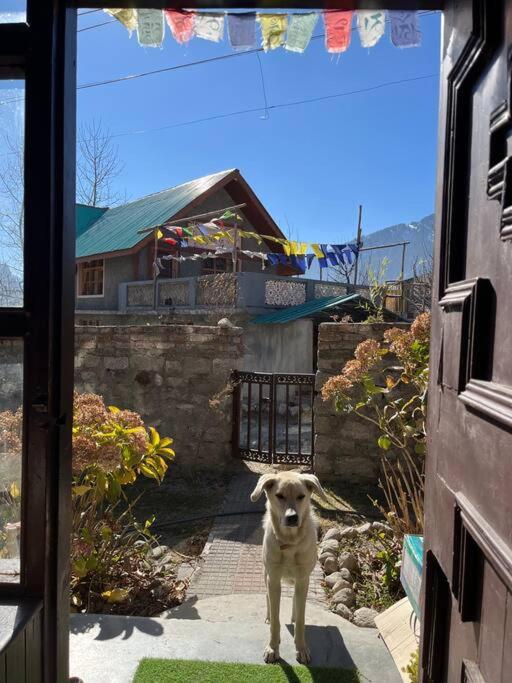 Gharsa - Your Mountain Home view 2